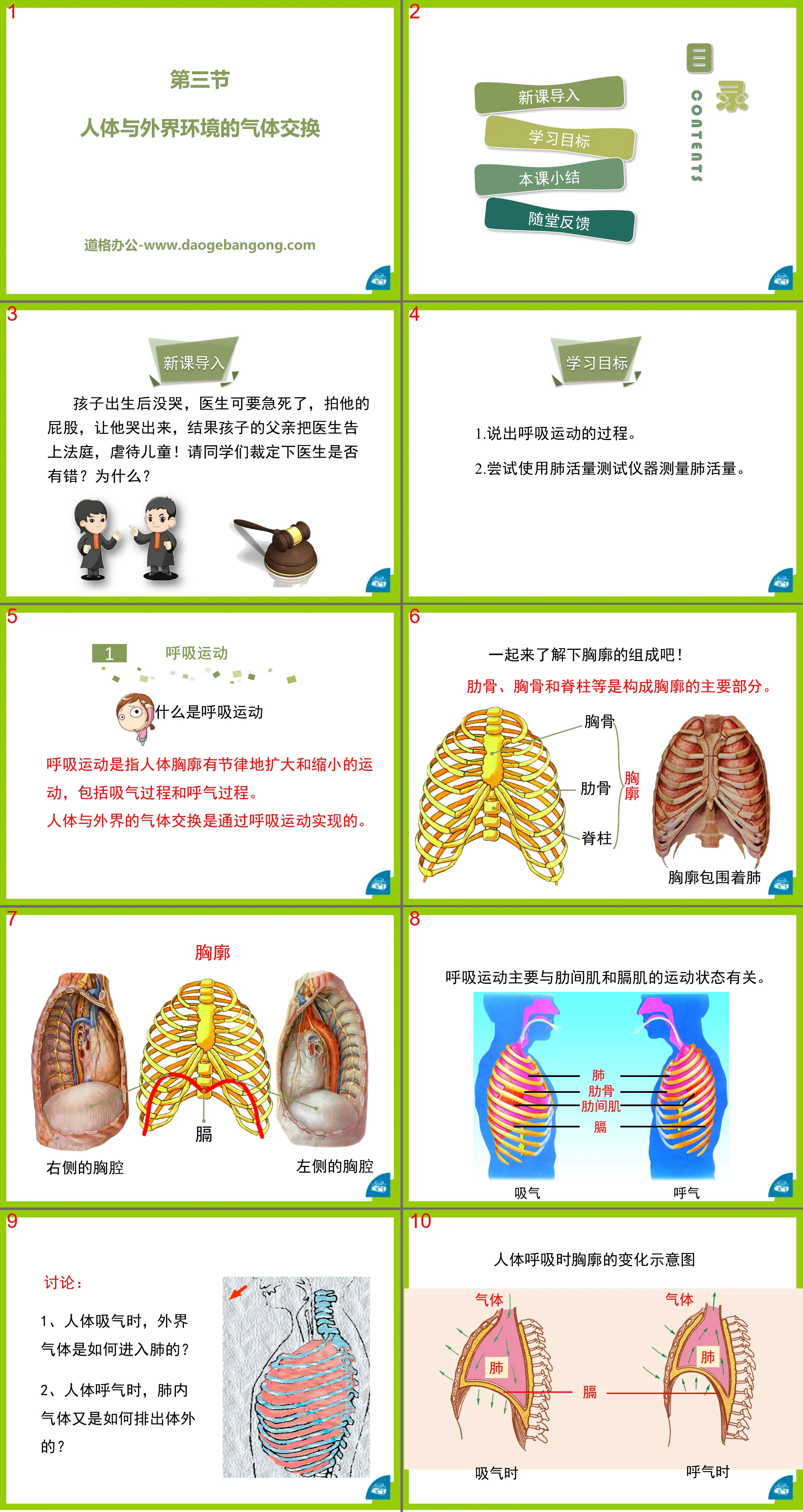 《人体和外界环境的气体交换》PPT课件
