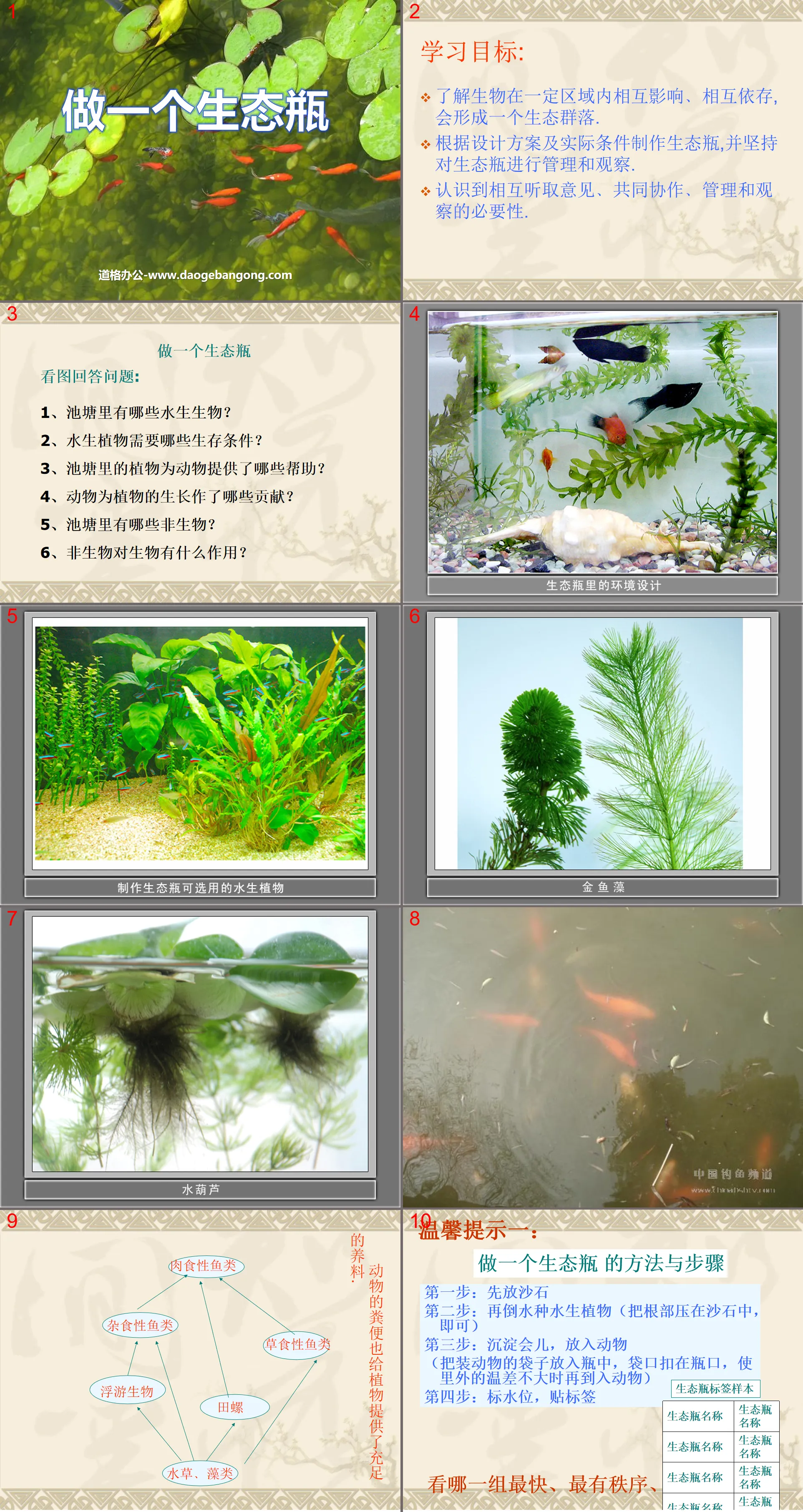 《做一个生态瓶》生物与环境PPT课件3
