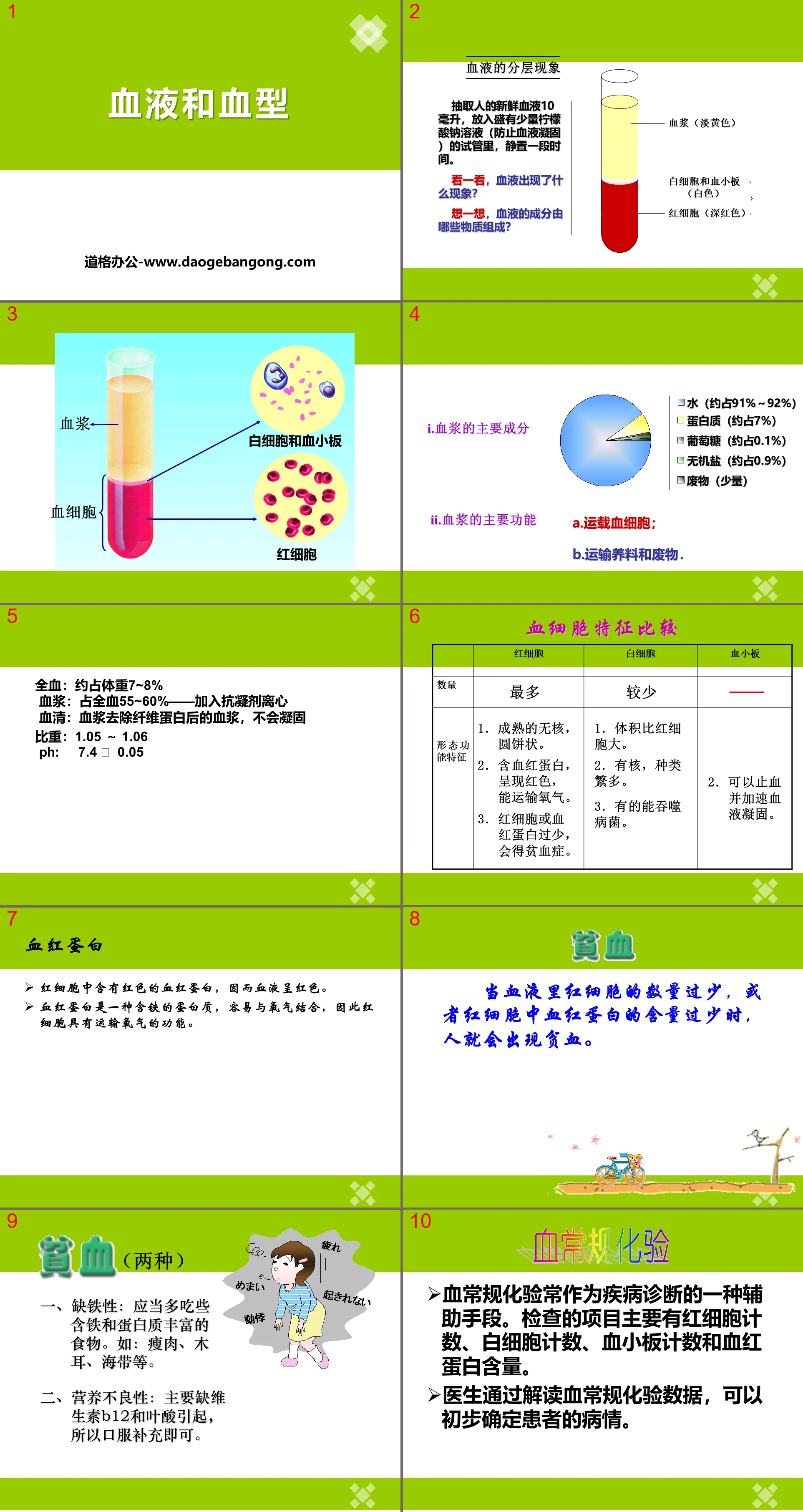 《血液和血型》PPT下載