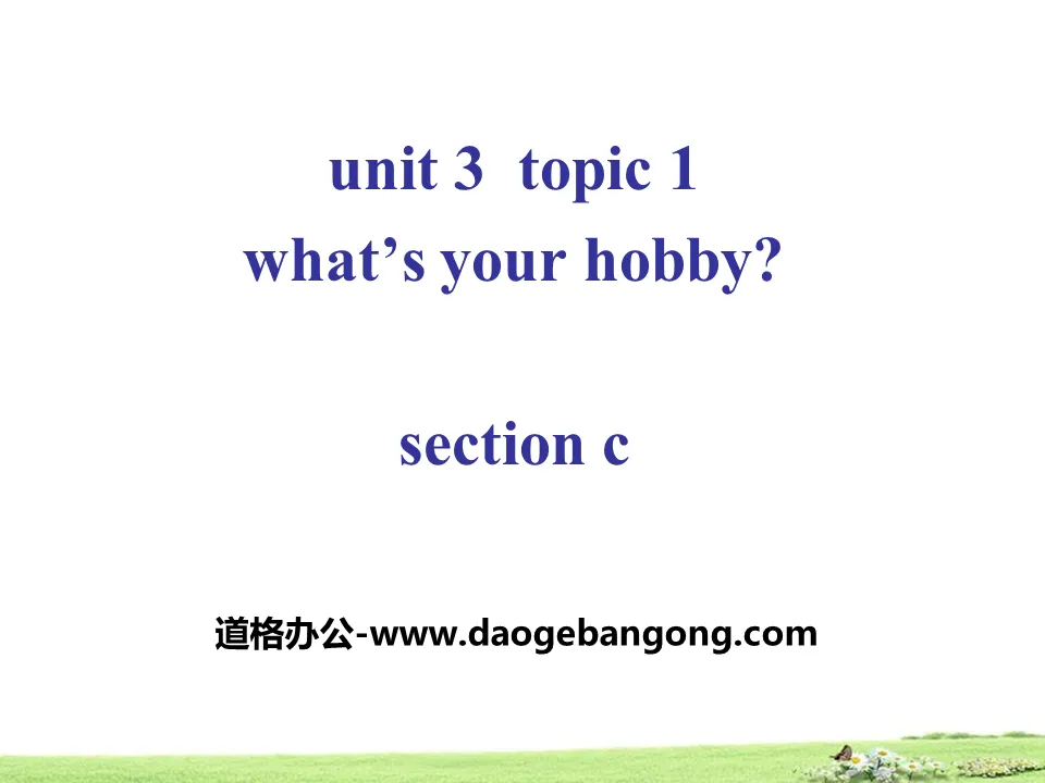 "What's your hobby?" SectionC PPT