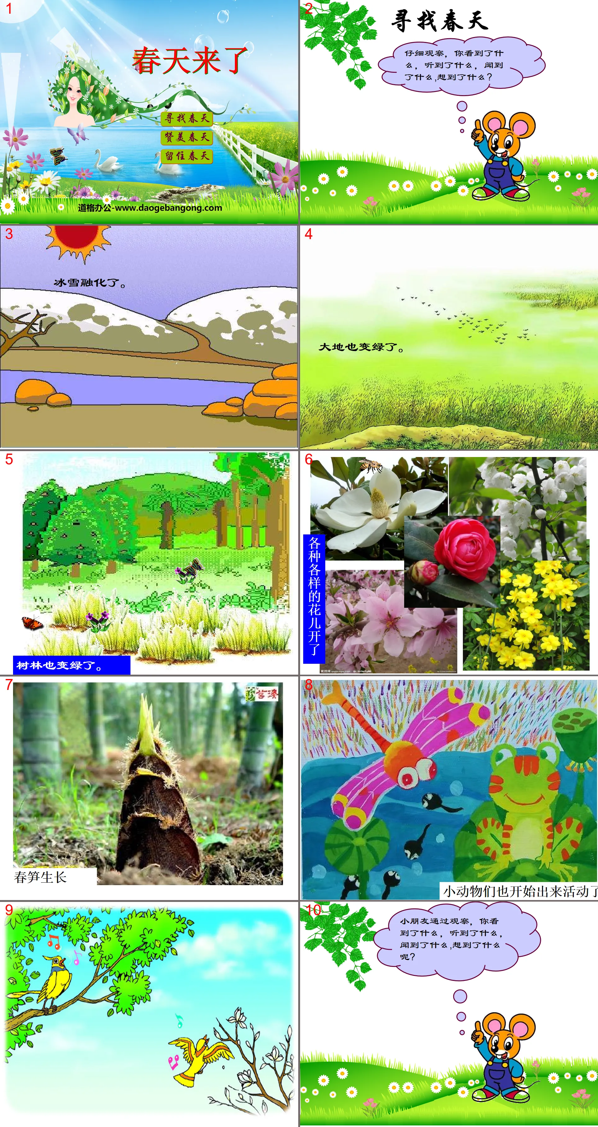 "Spring is Coming" Entering Nature PPT Courseware