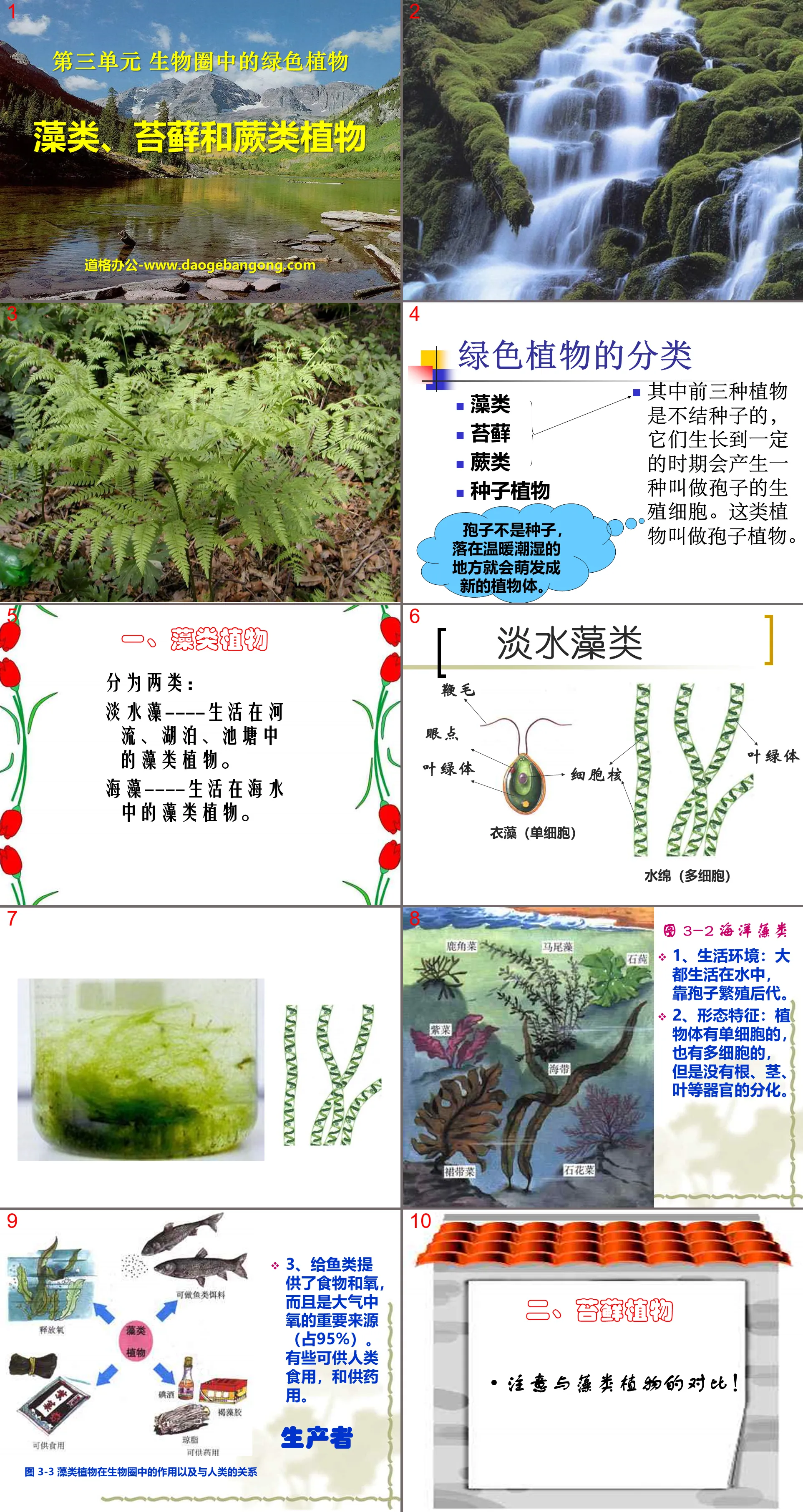 "Algae, Moss and Ferns" What are the green plants in the biosphere PPT courseware 3