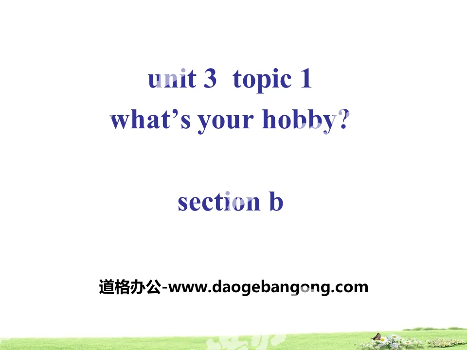 "What's your hobby?" SectionB PPT