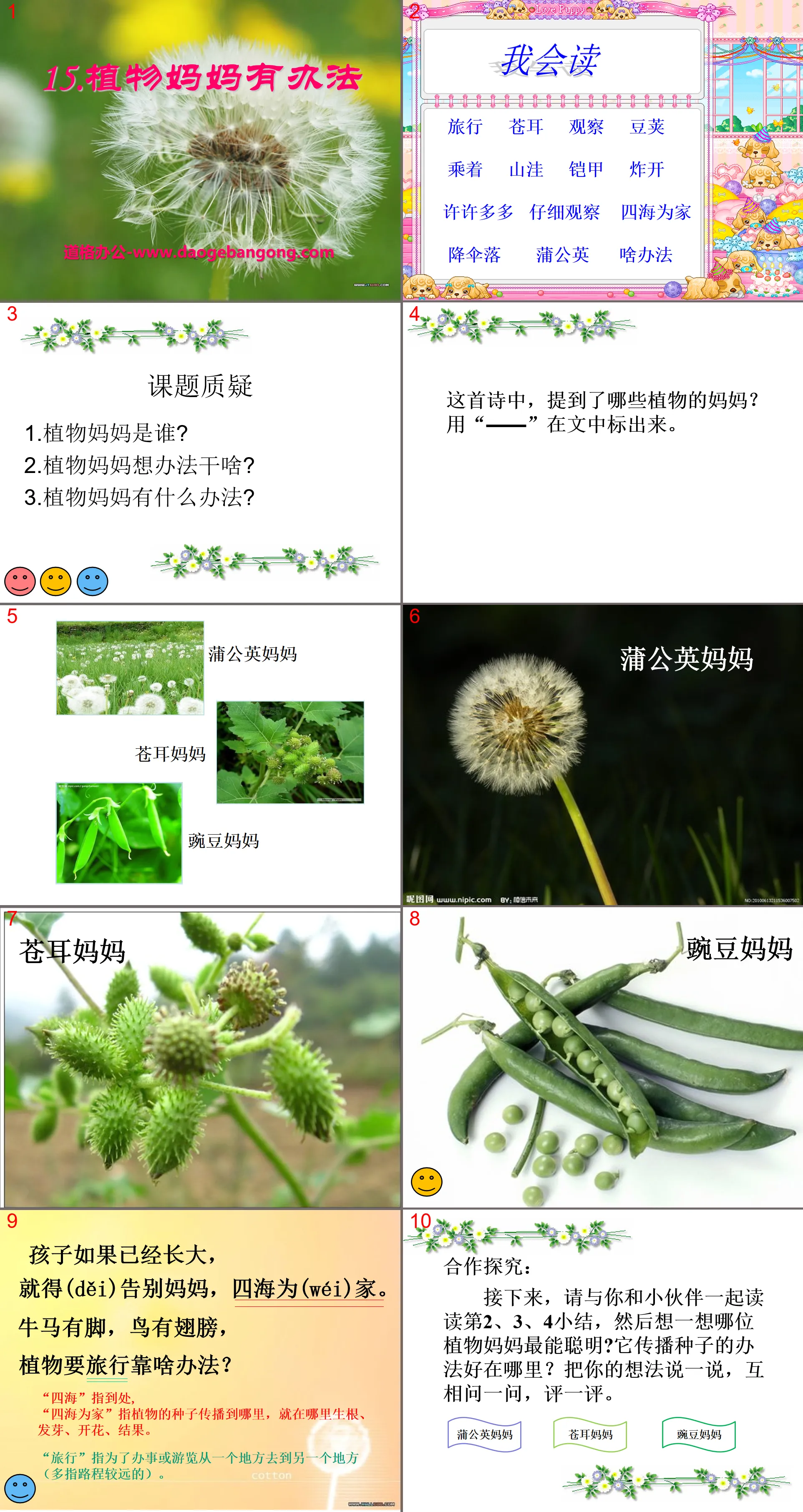 《植物妈妈有办法》PPT课件7
