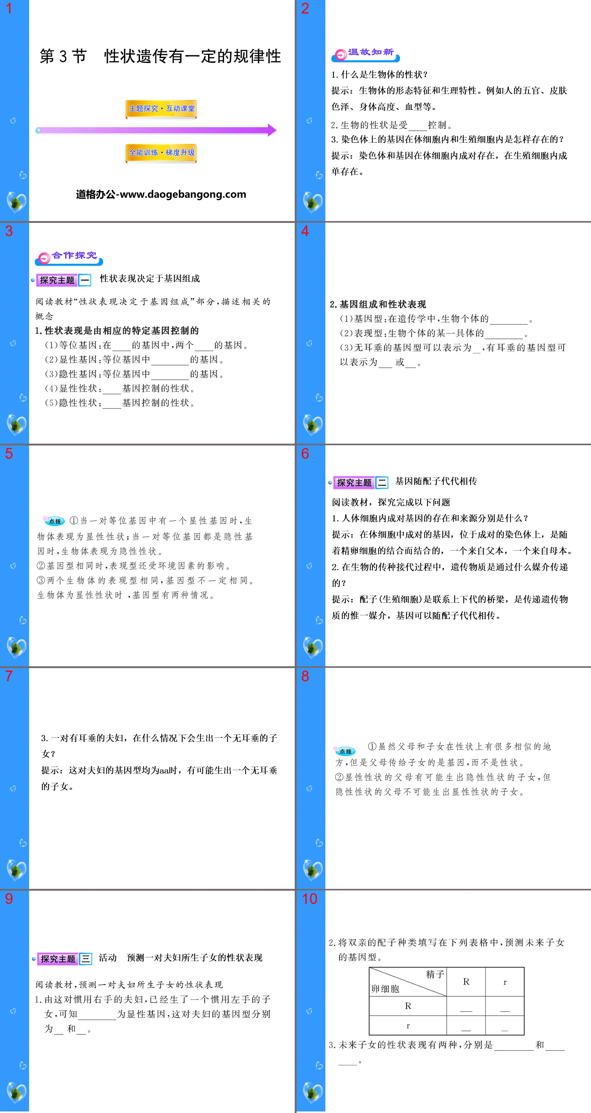 《性狀遺傳有一定的規律性》PPT