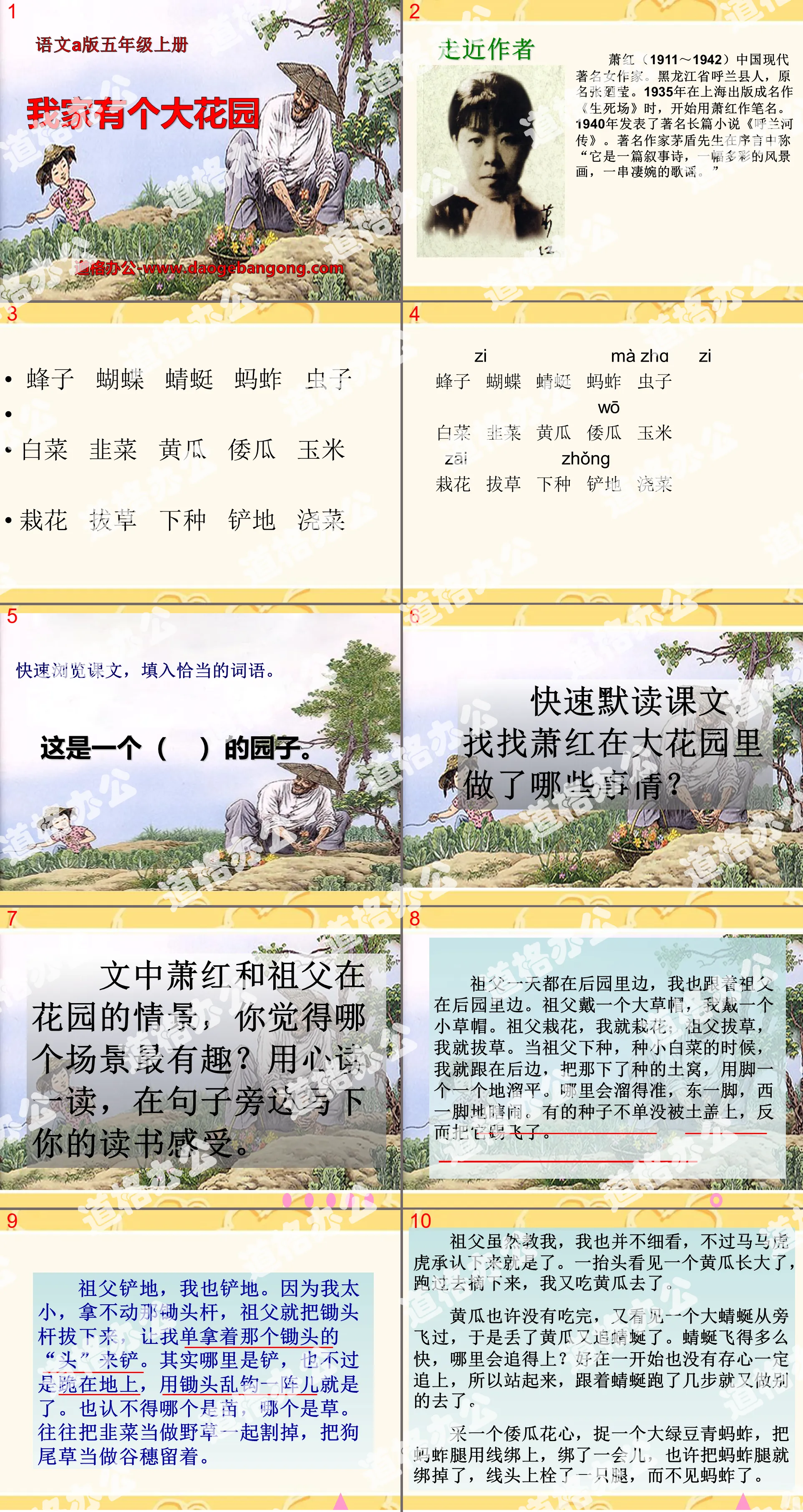 《我家有個大花園》PPT課件