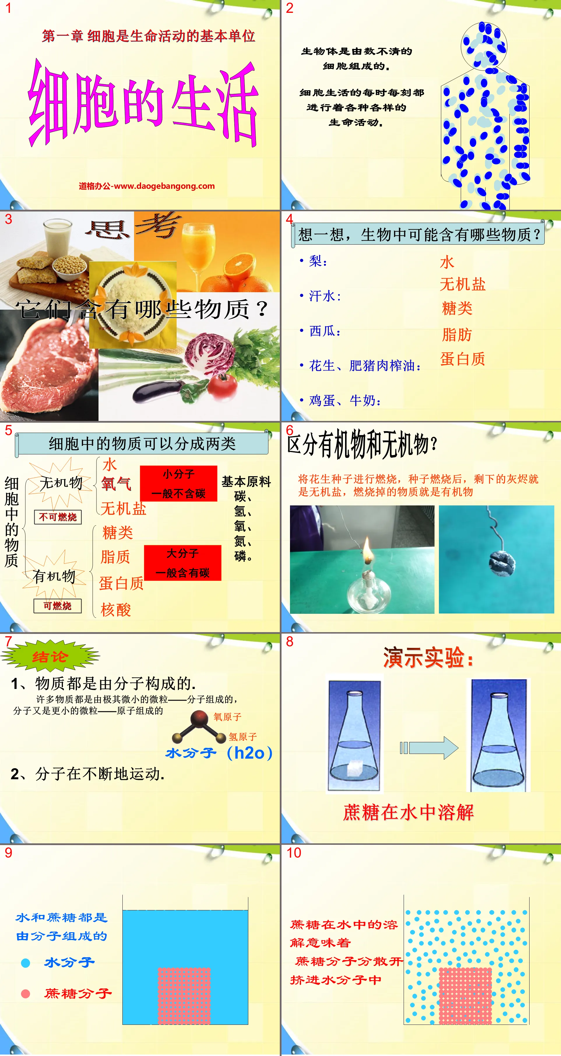 "The Life of Cells" Cells are the basic units of life activities PPT courseware 5