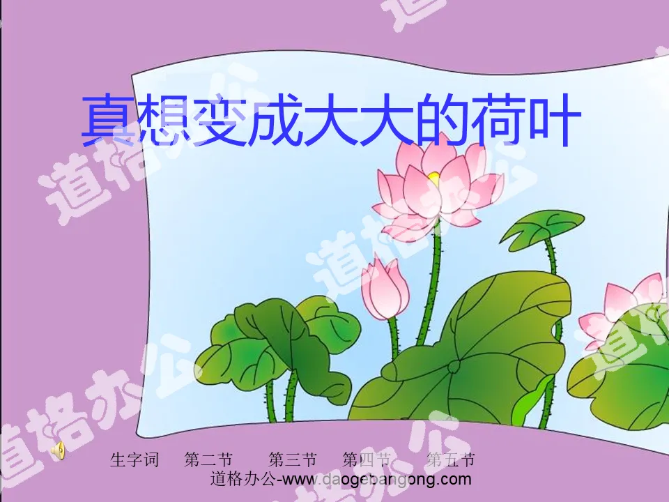 "I really want to become a big lotus leaf" PPT courseware