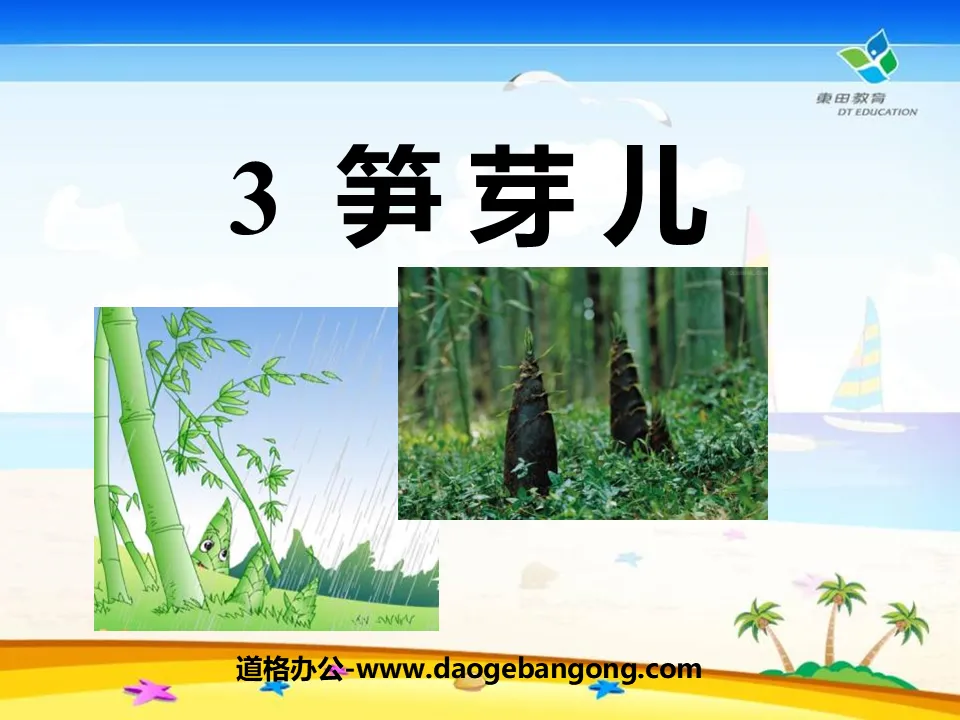 "Bamboo Shoots" PPT courseware 8