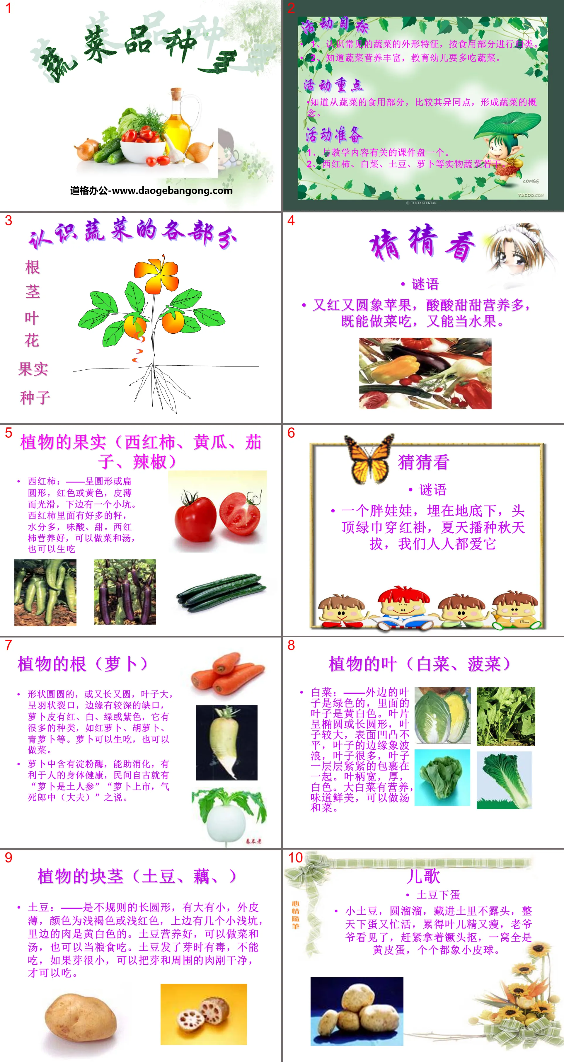 "Many Varieties of Vegetables" PPT courseware