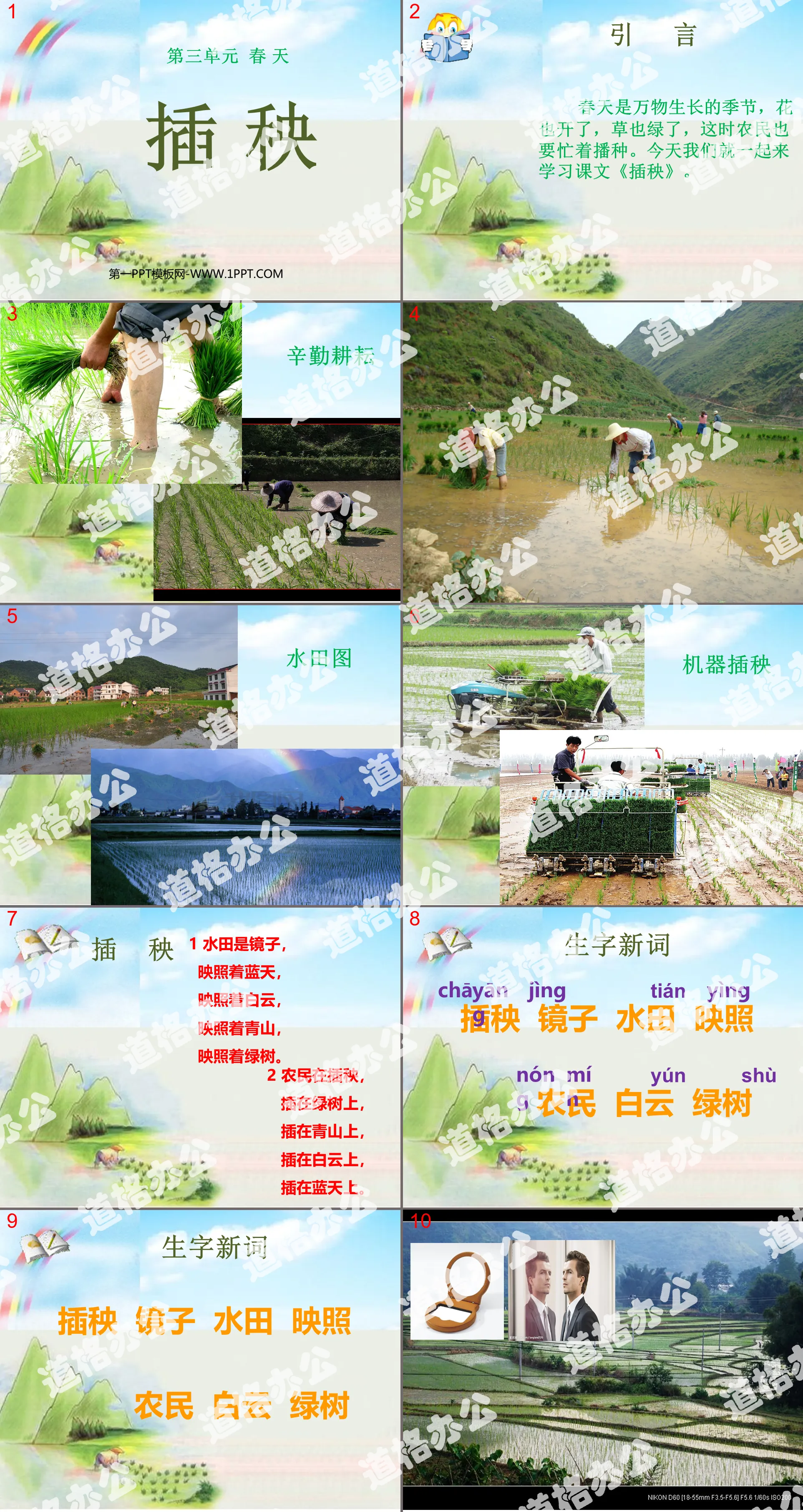 "Planting Rice" PPT Courseware 4