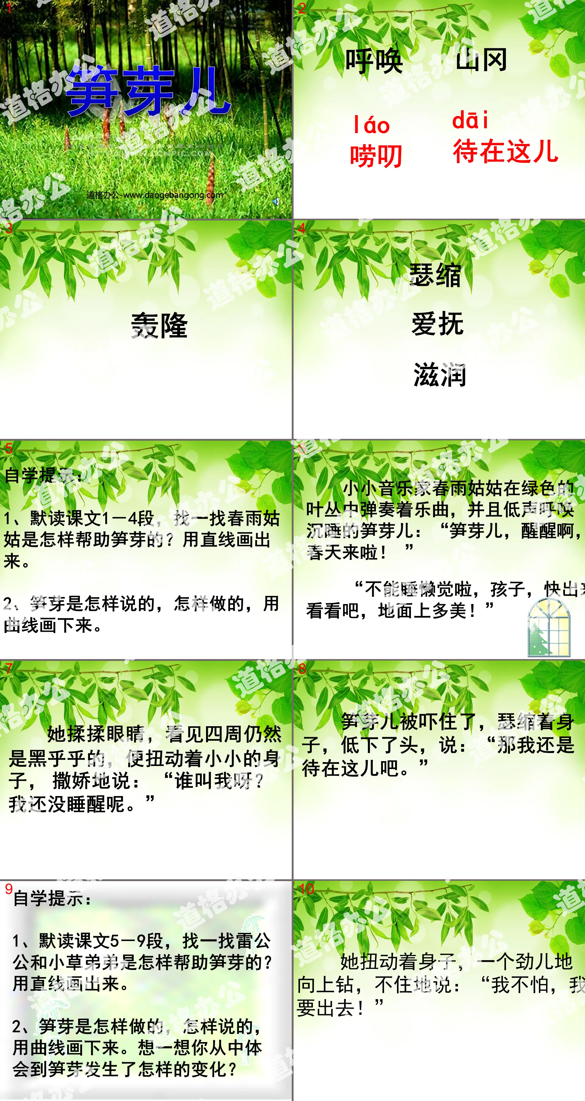 《笋芽儿》PPT课件3
