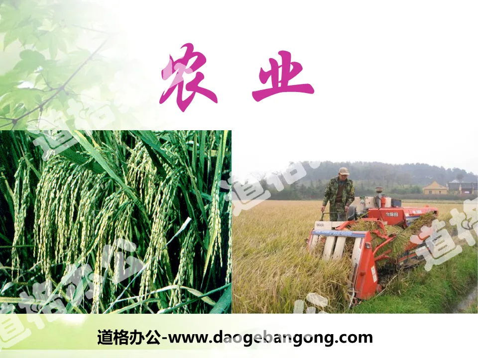 《农业》中国的经济发展PPT课件8
