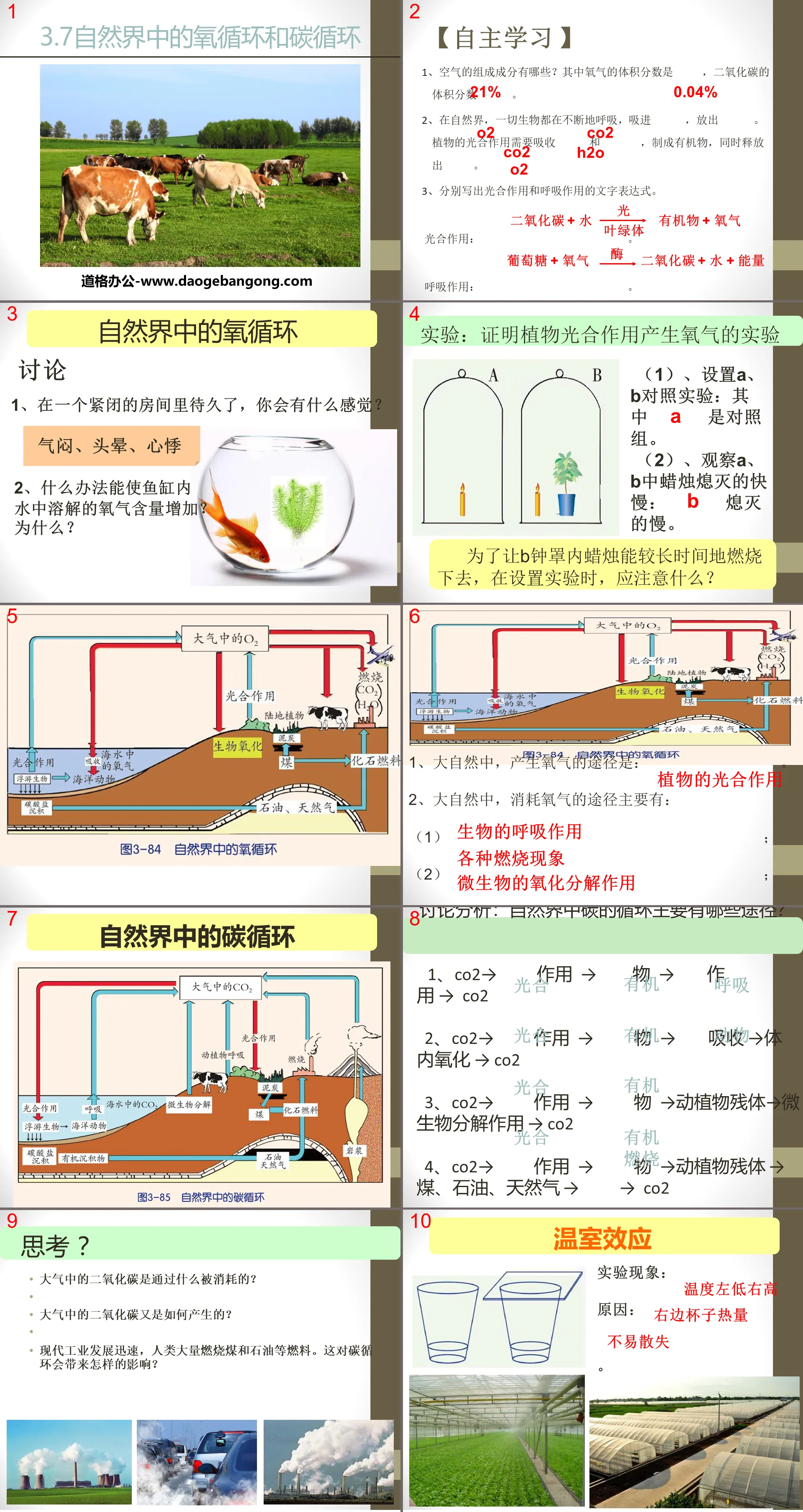 《自然界中的氧循環與碳循環》PPT