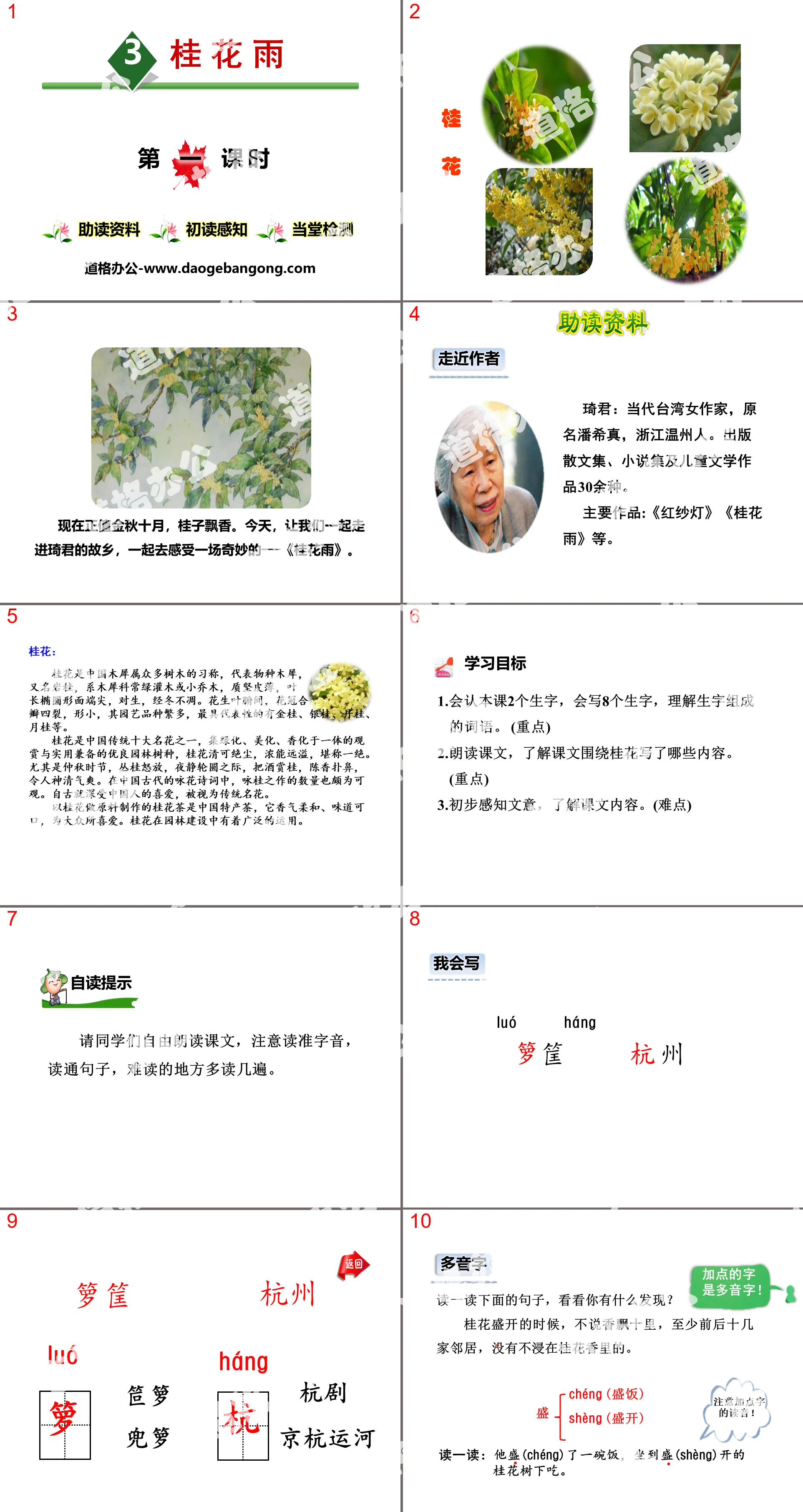 《桂花雨》PPT