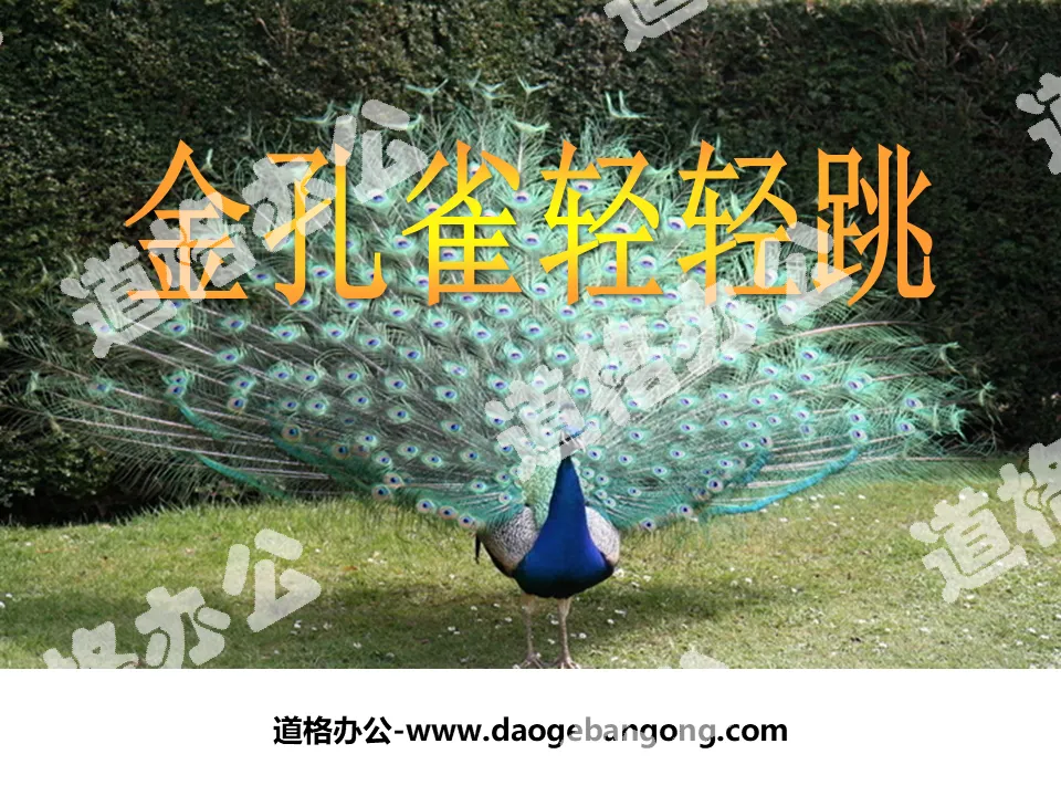 "The Golden Peacock Jumps Gently" PPT Courseware 2