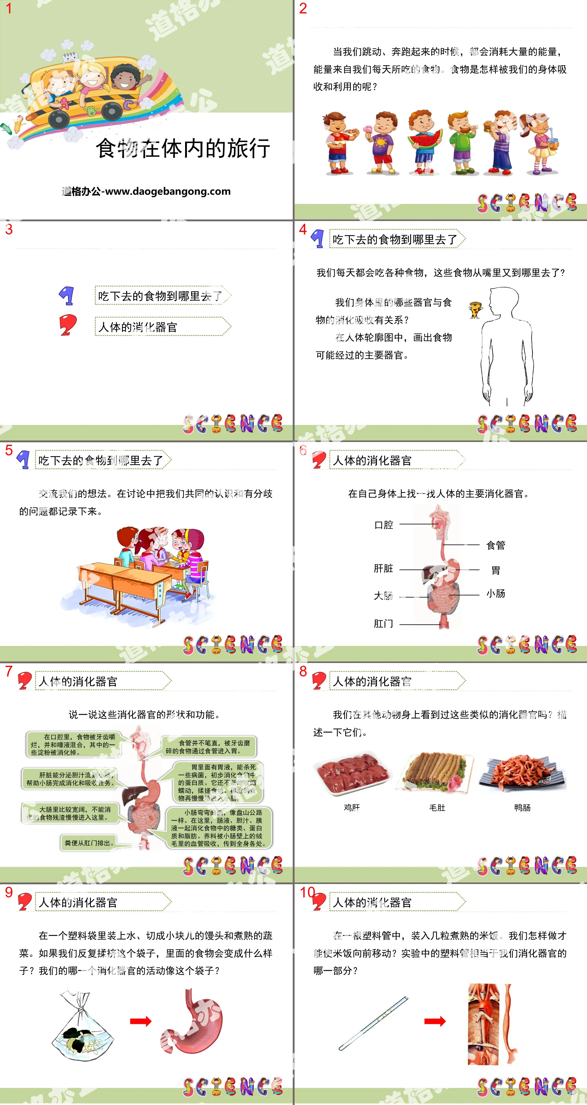 《食物在體內的旅行》我們的身體PPT