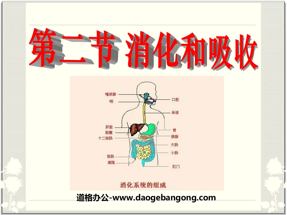 "Digestion and Absorption" Human Nutrition PPT Courseware 2