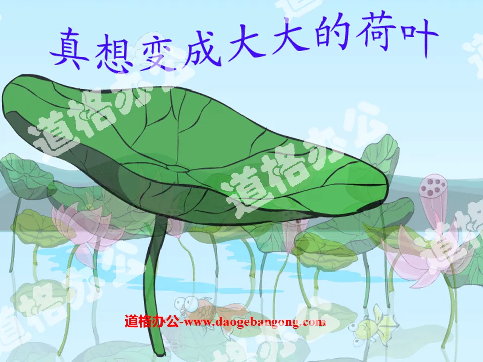 "I really want to become a big lotus leaf" PPT courseware 2