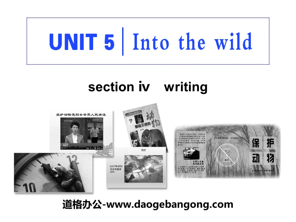 "Into the wild" Section IV PPT courseware