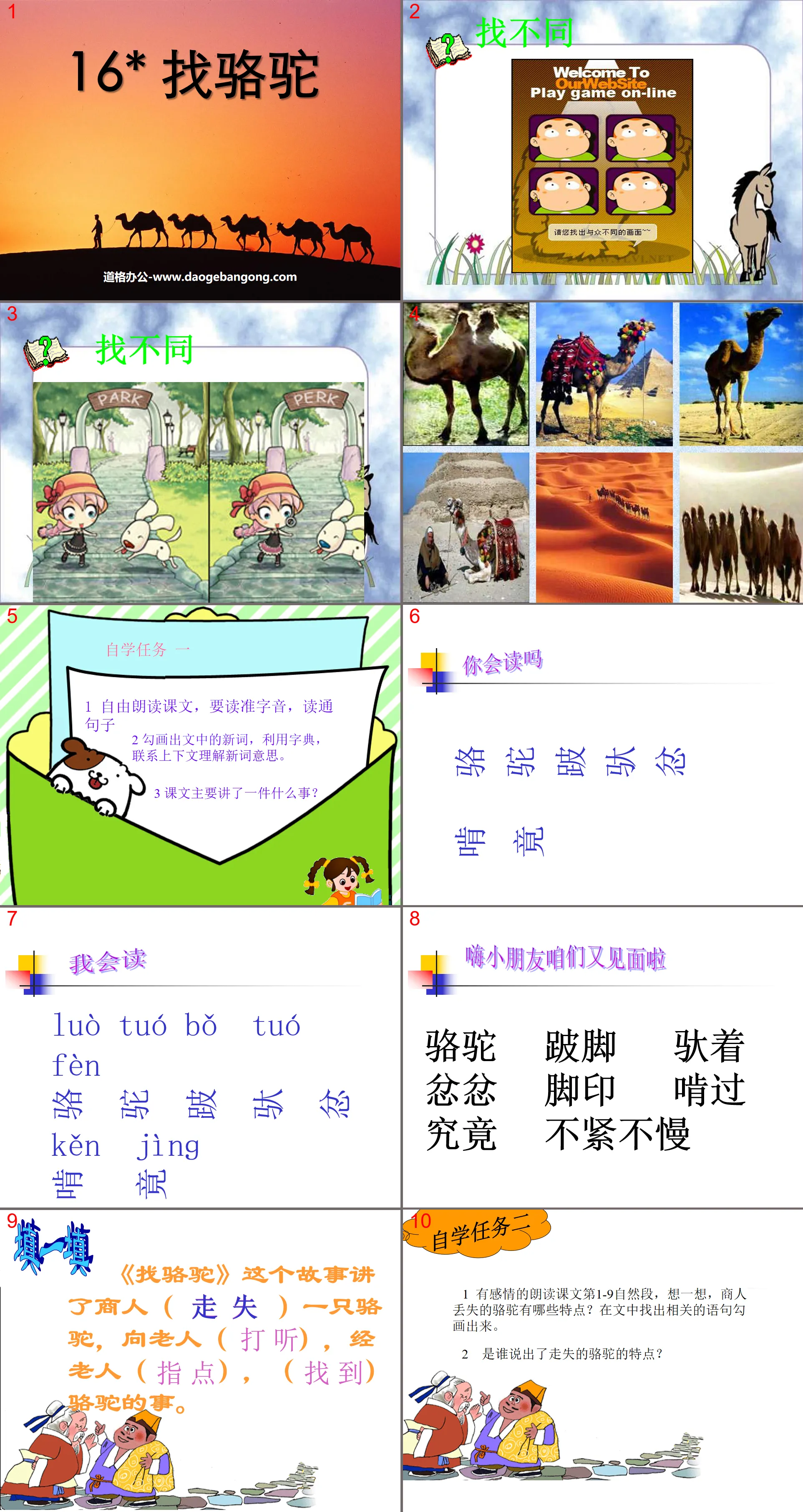 "Looking for Camels" PPT courseware 2