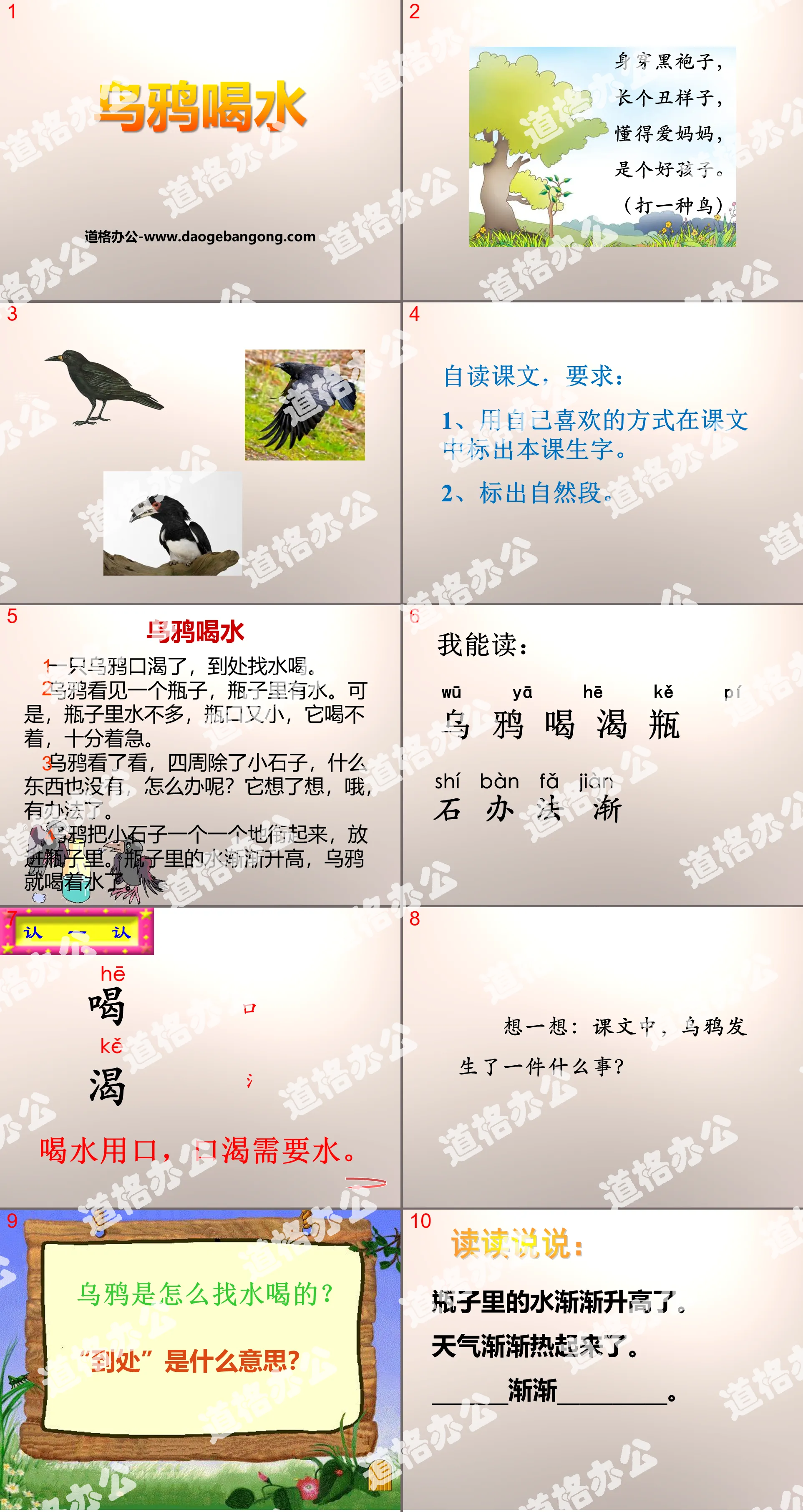 "Crow Drinking Water" PPT free download