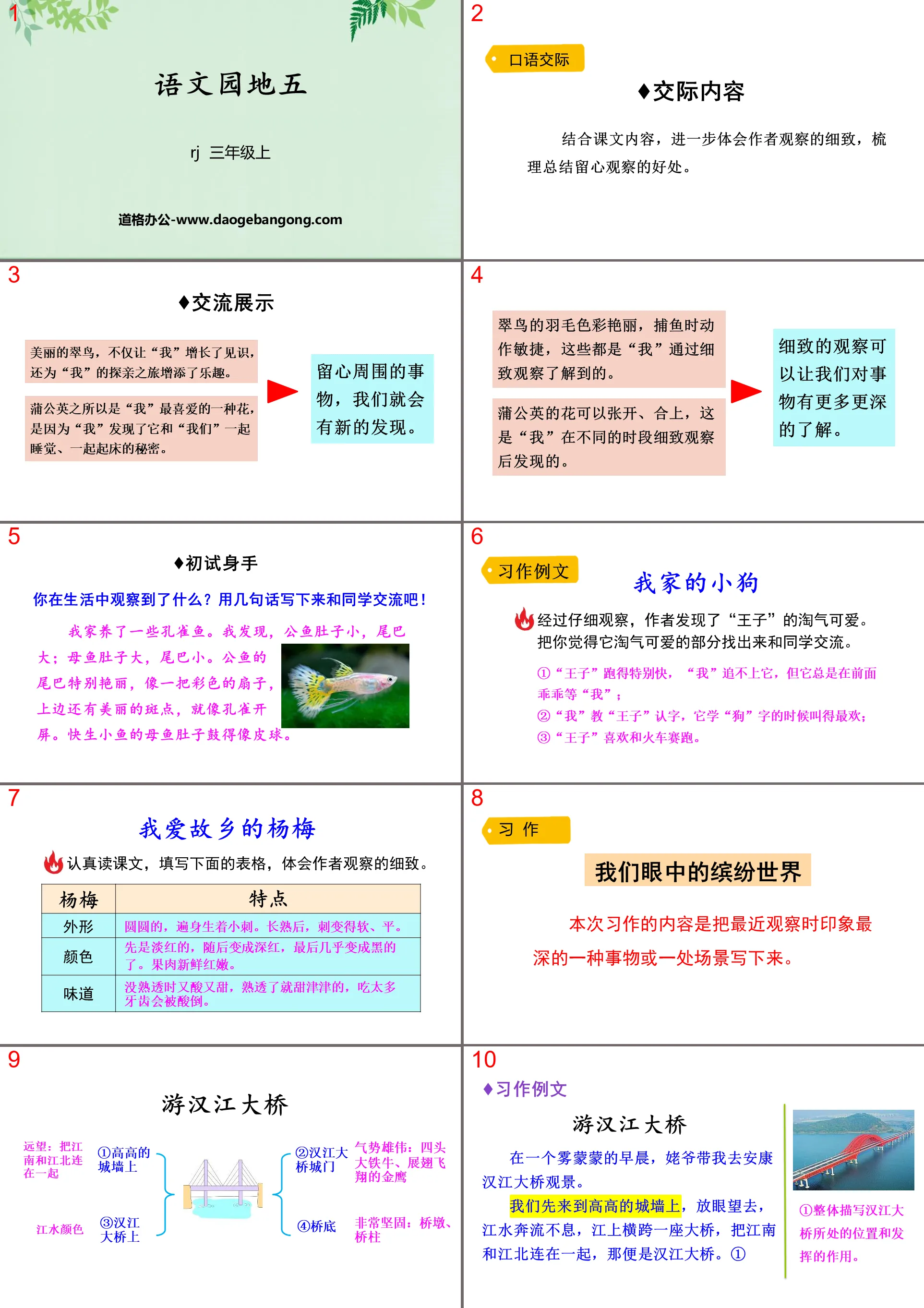 《语文园地五》PPT课件(三年级上册)