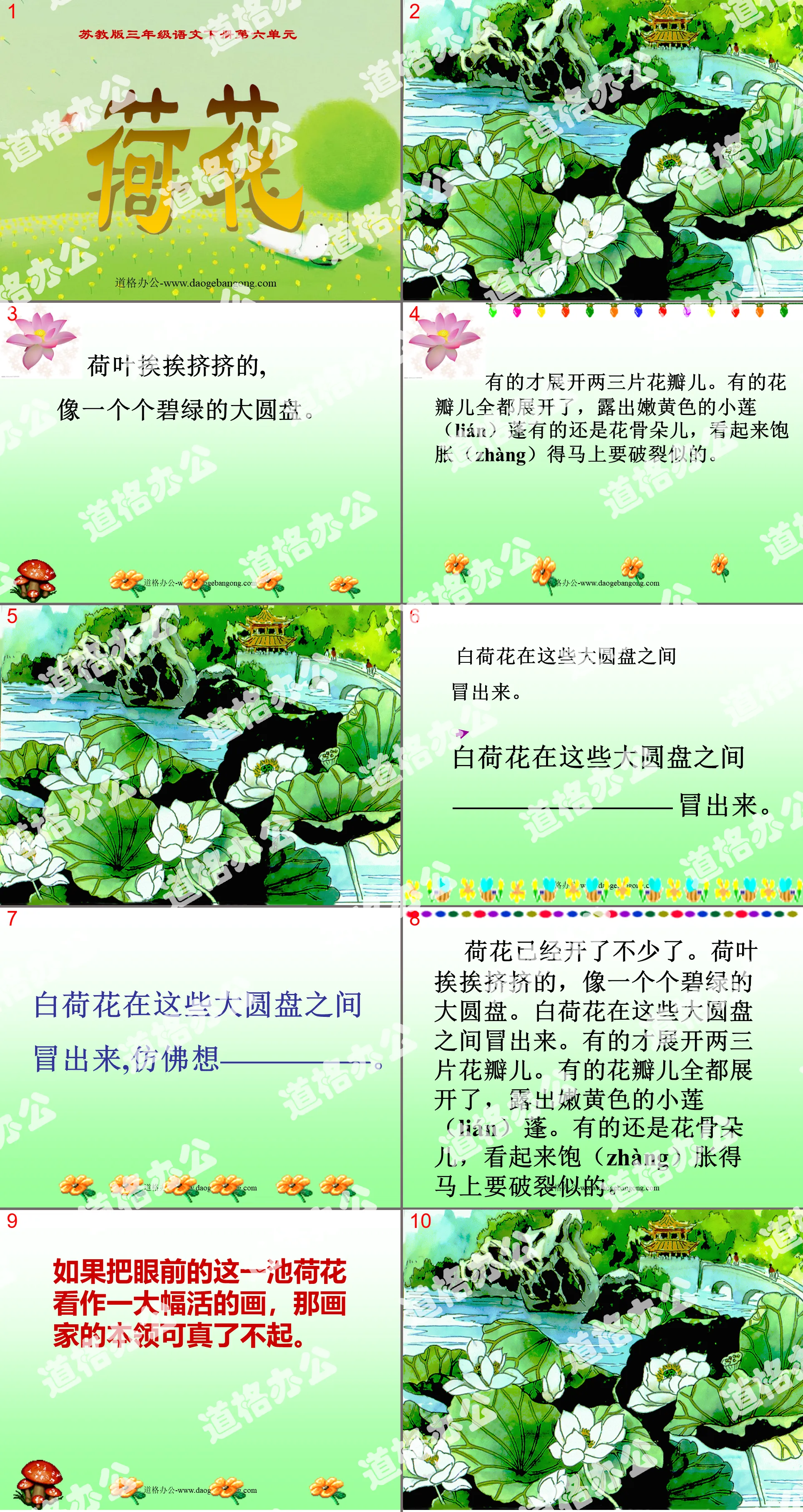 《荷花》PPT課件6