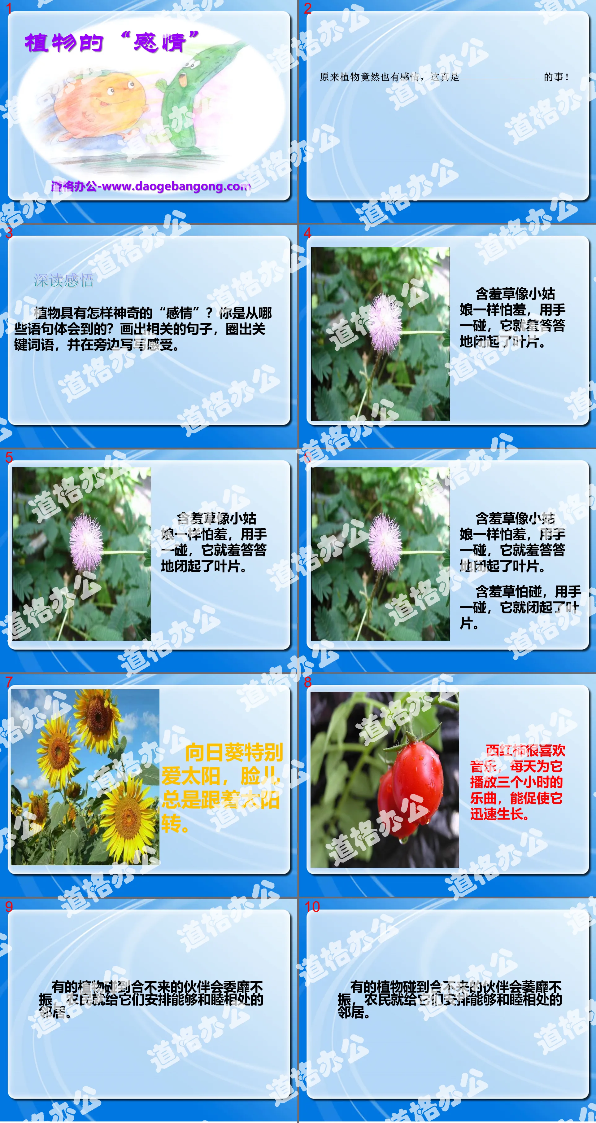 "Emotions of Plants" PPT Courseware 2