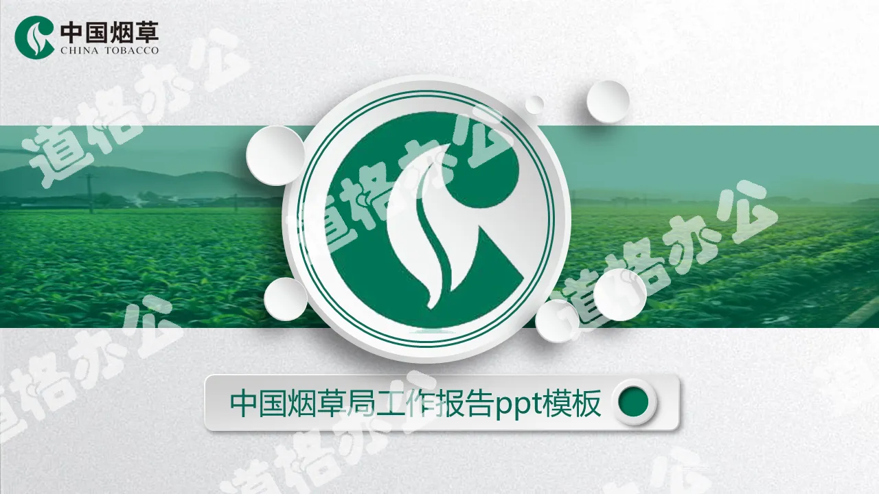 Chinese tobacco PPT template with tobacco plant background