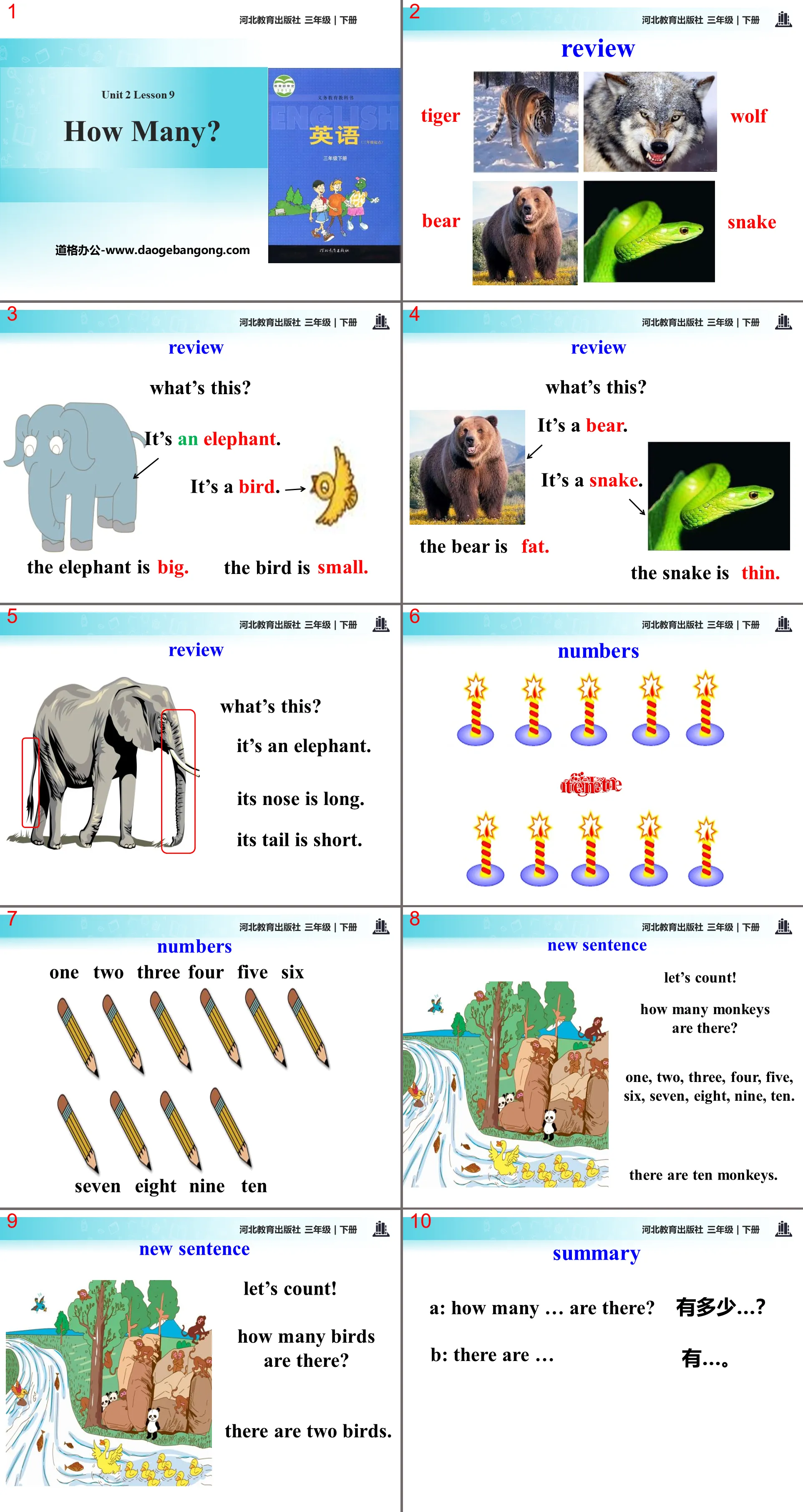 《How many?》Animals at the zoo PPT