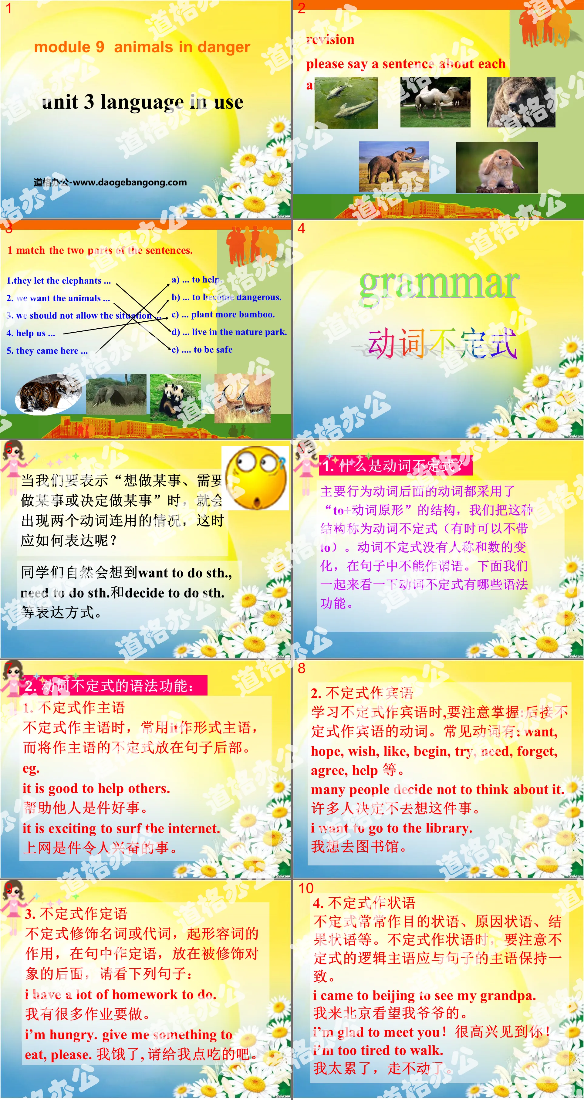 《Language in use》Animals in danger PPT課件3