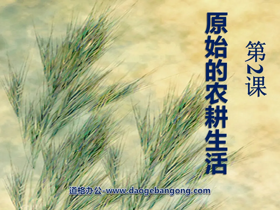《原始的農耕生活》中華文明的起源PPT課件2