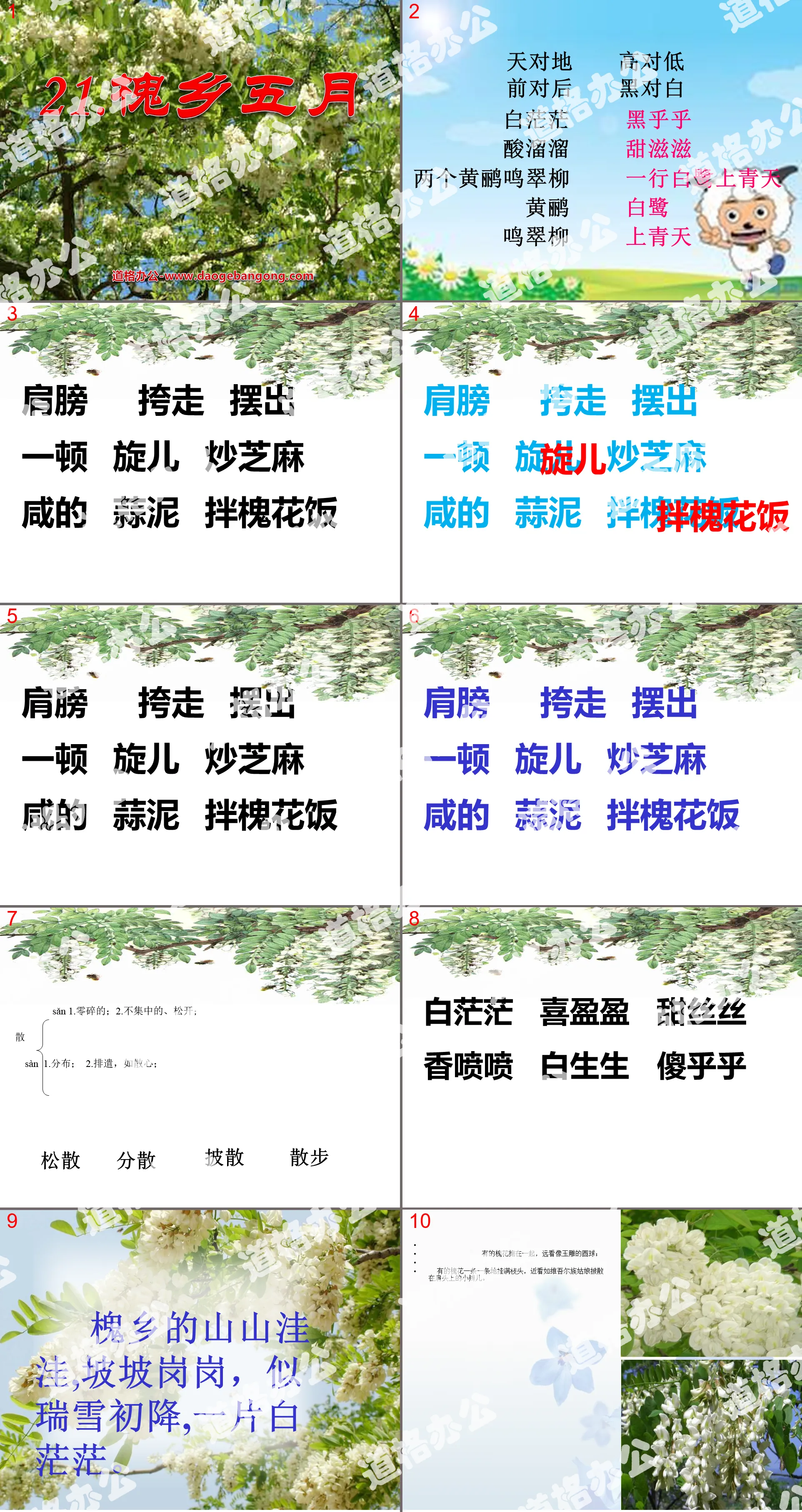 《槐乡五月》PPT课件4
