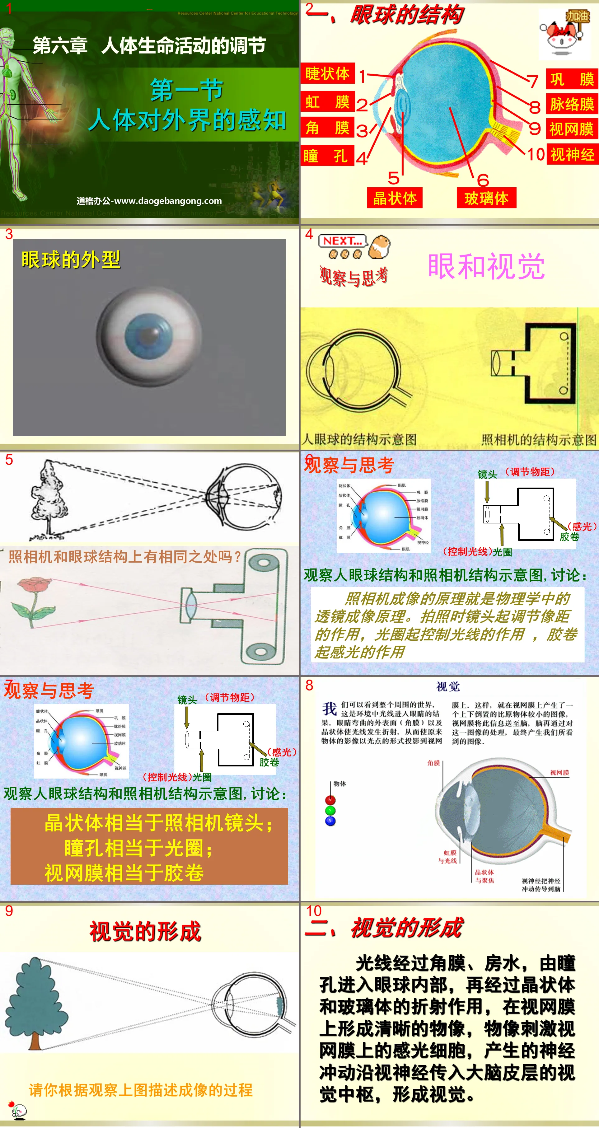 "The Human Body's Perception of the External Environment" Regulation of Human Life Activities PPT Courseware 4