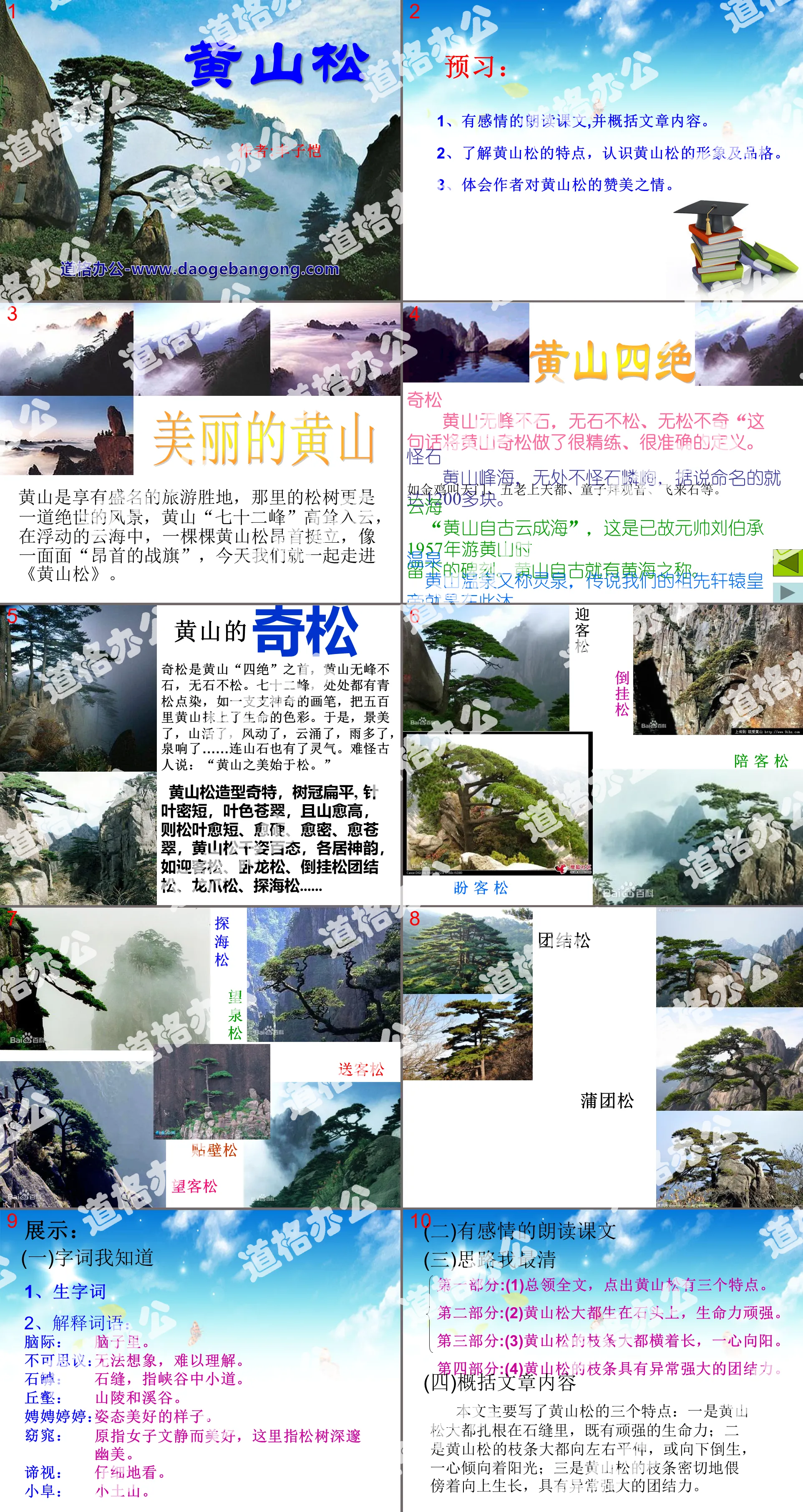 "Huangshan Pine" PPT courseware 4