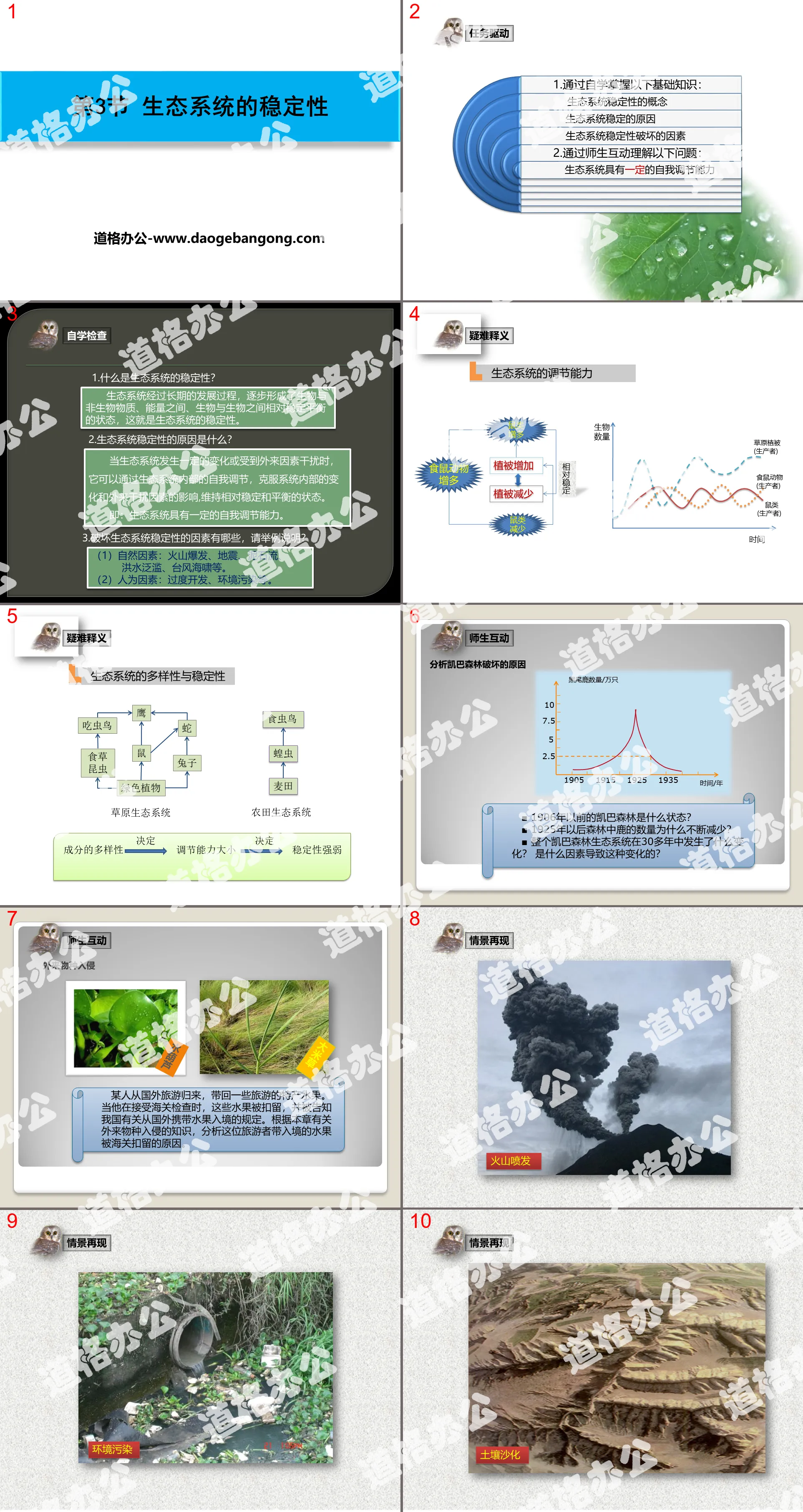 PPT courseware on "Ecosystem Stability"