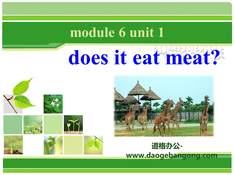 "Does it eat meat?" PPT courseware