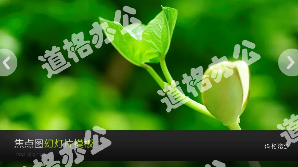 Plant slide template download with dynamic green seedlings and bean sprouts background