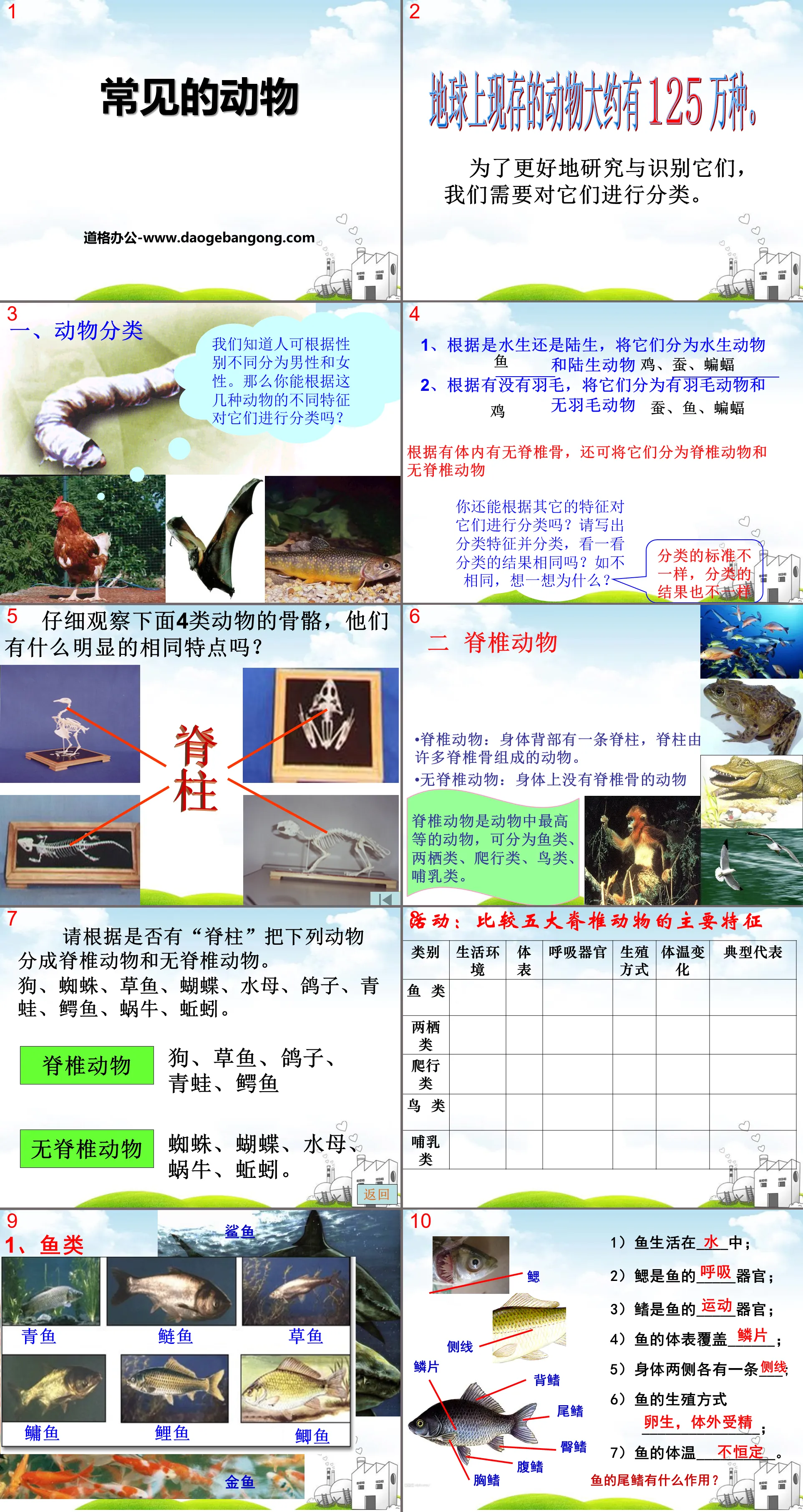 《常見的動物》PPT