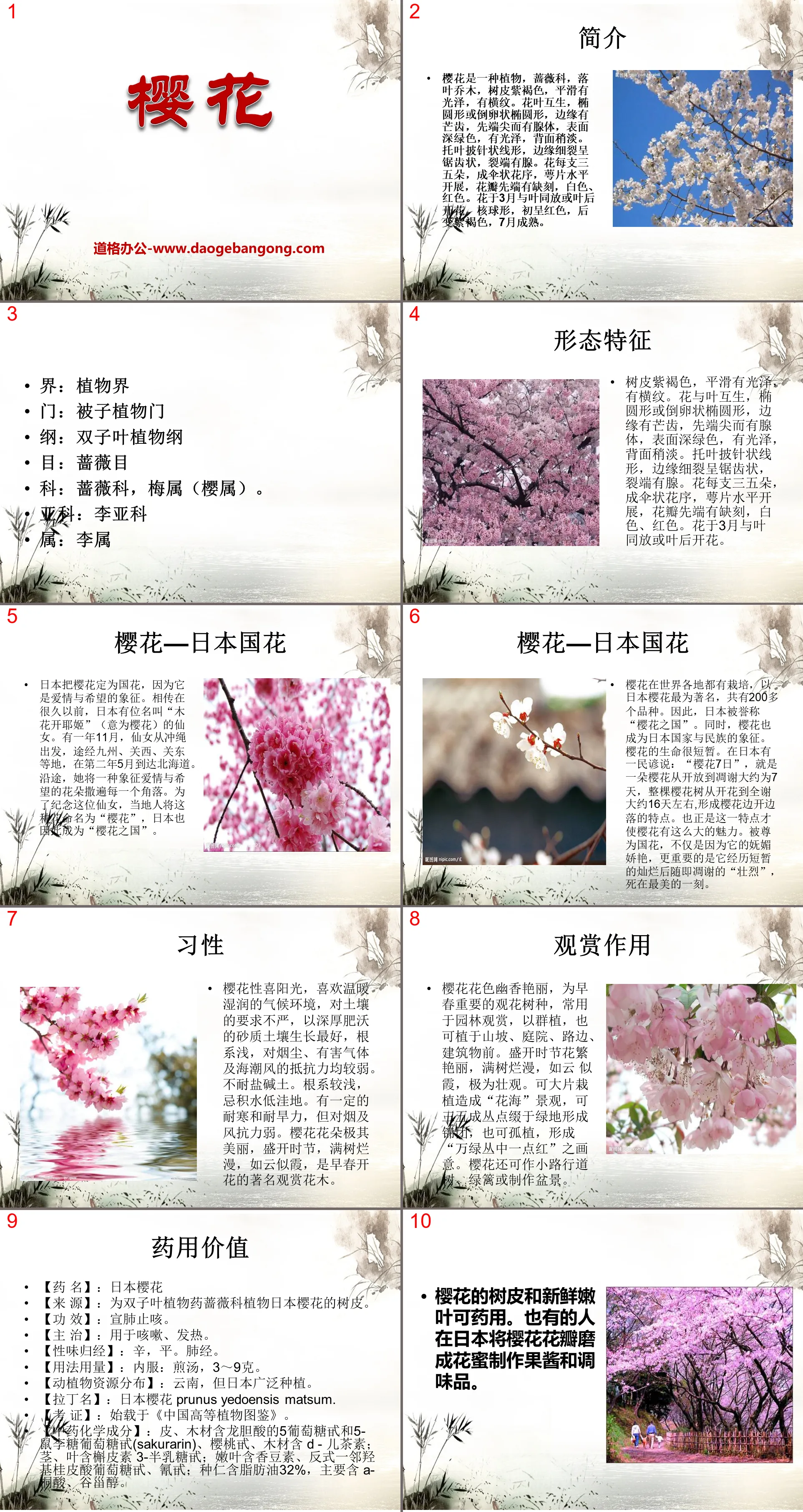 "Sakura" PPT courseware 2