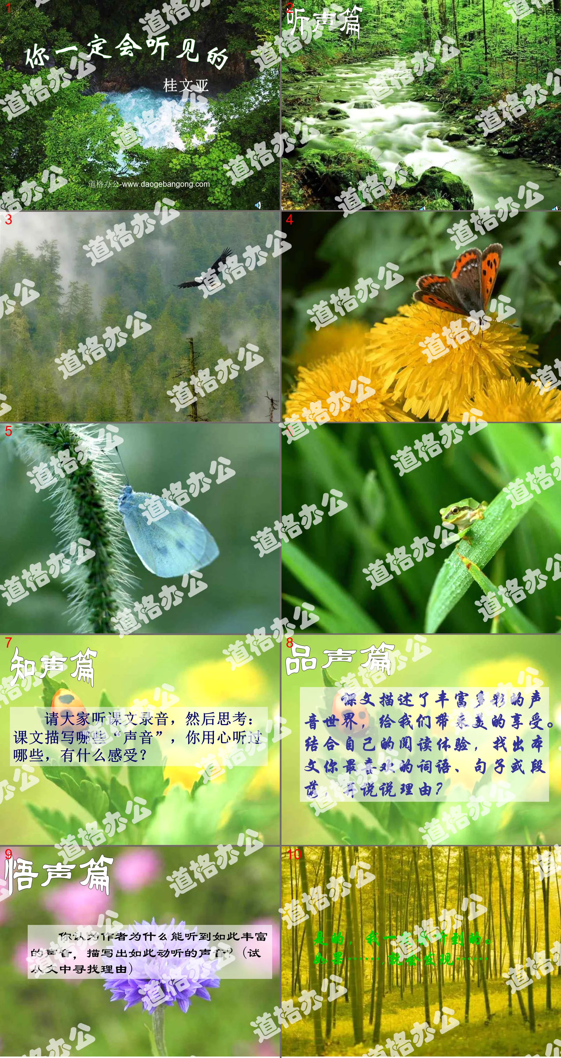 《你一定会听见的》PPT课件2
