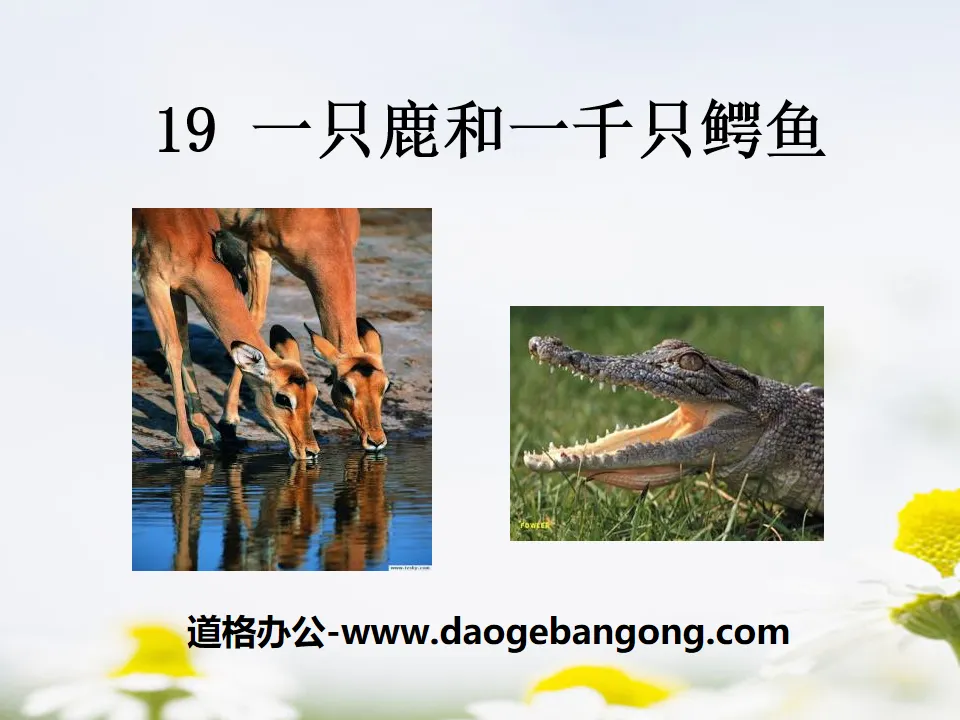 "A Deer and a Thousand Crocodiles" PPT Courseware 2