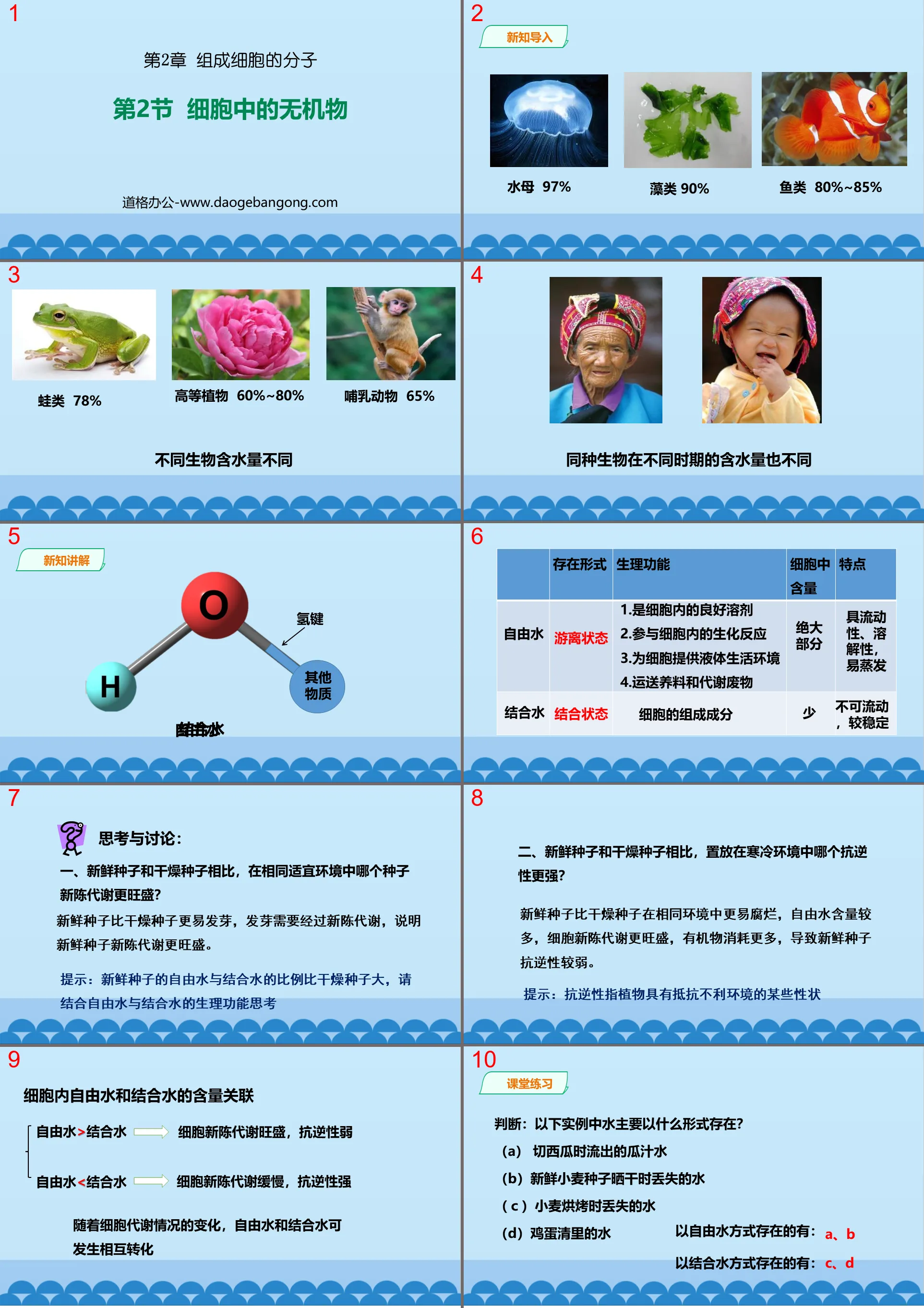 《細胞中的無機物》組成細胞的分子PPT課件