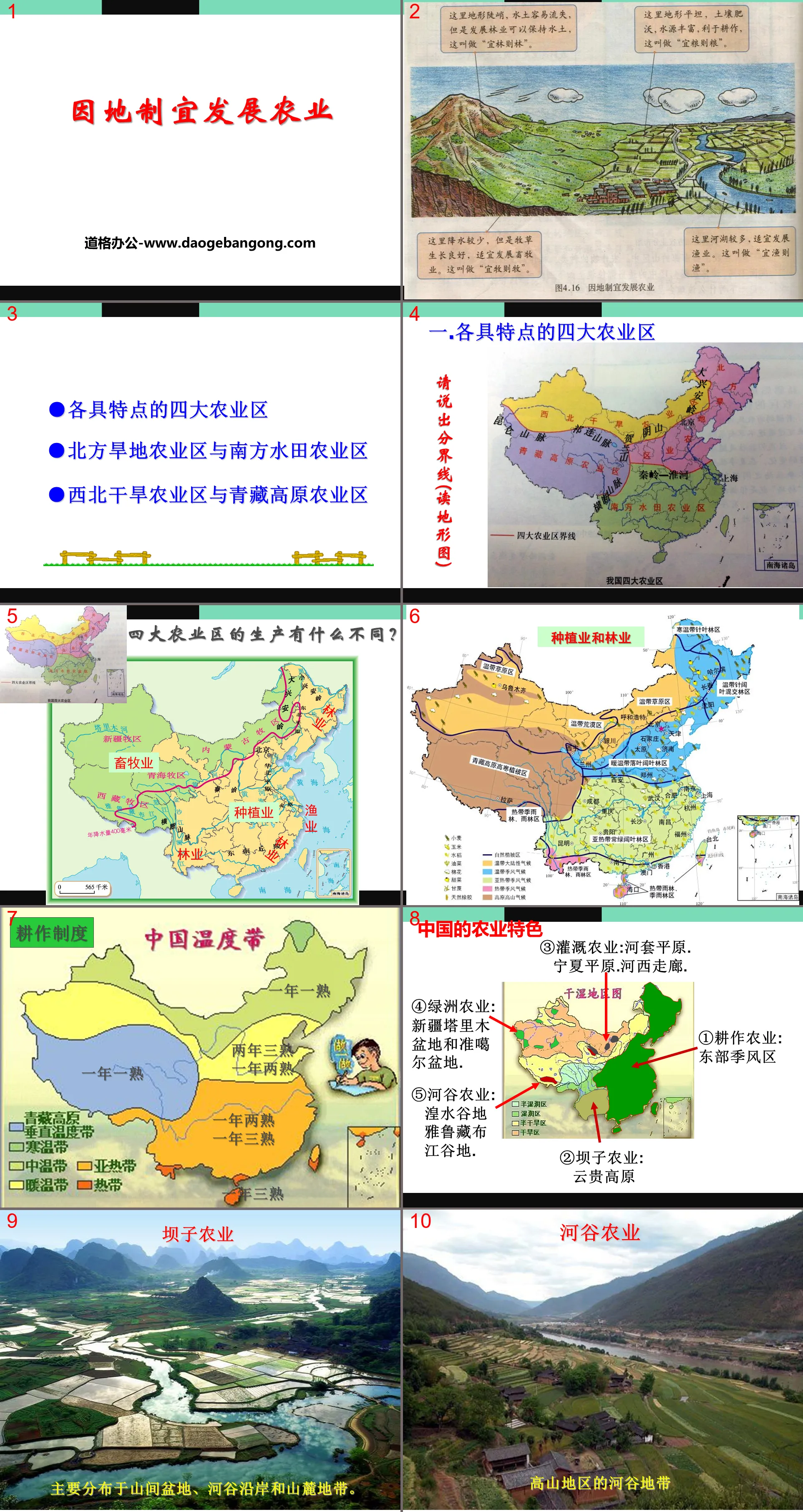 《因地制宜發展農業》PPT下載