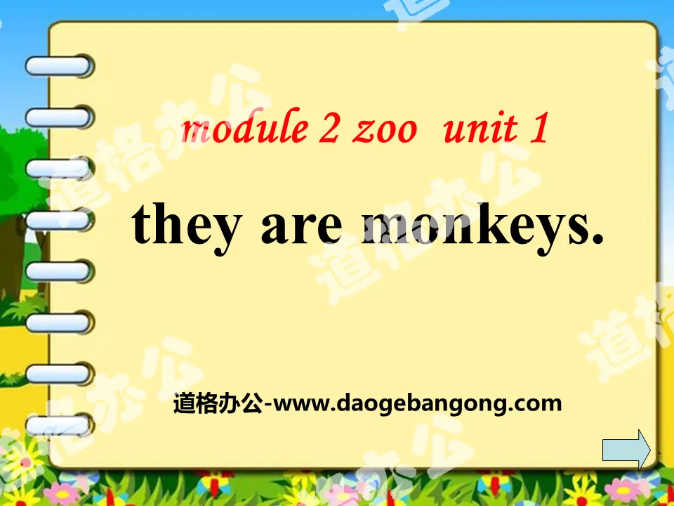 《They are monkeys》PPT课件4
