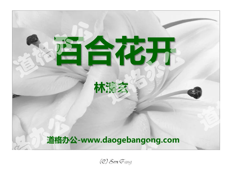 "Lily Blossoms" PPT courseware