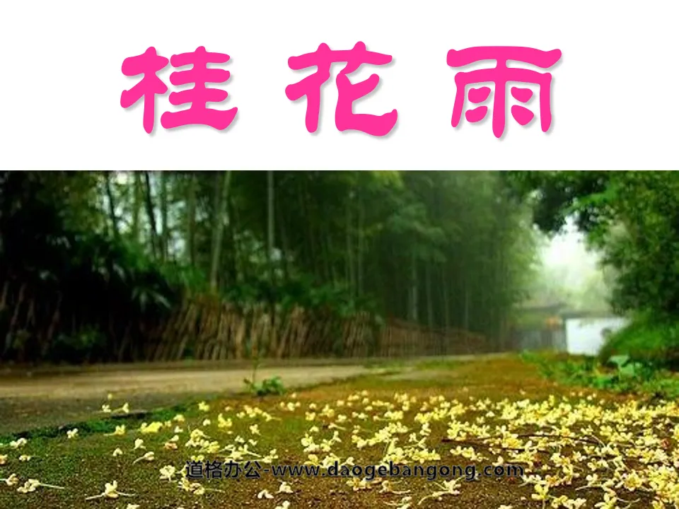 《桂花雨》PPT课件3
