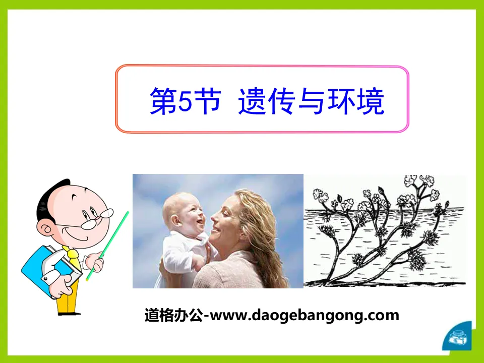 《遗传与环境》PPT