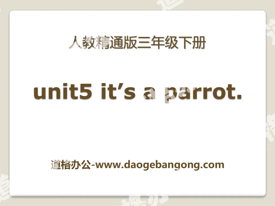 "It's a parrot" PPT courseware 4